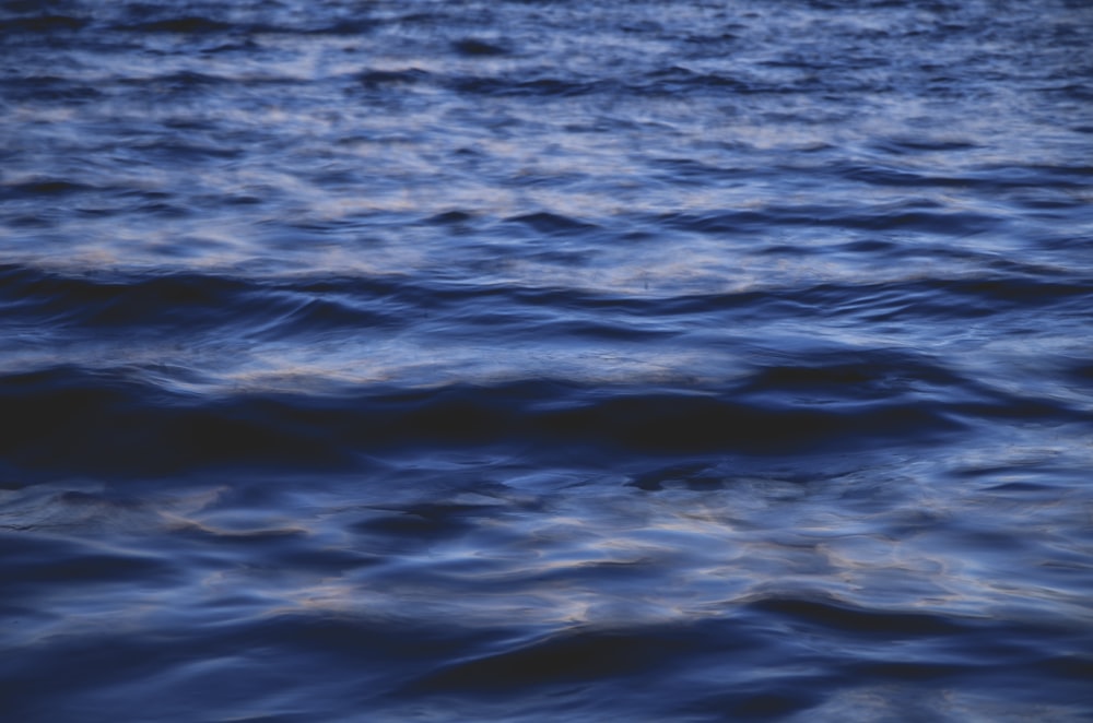 blue body of water during daytime