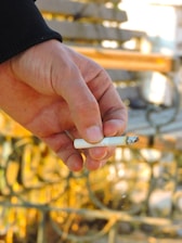 A hand holding a lit cigarette with a bench and blurred natural background. The cigarette shows signs of being partially smoked, with ash at the tip.