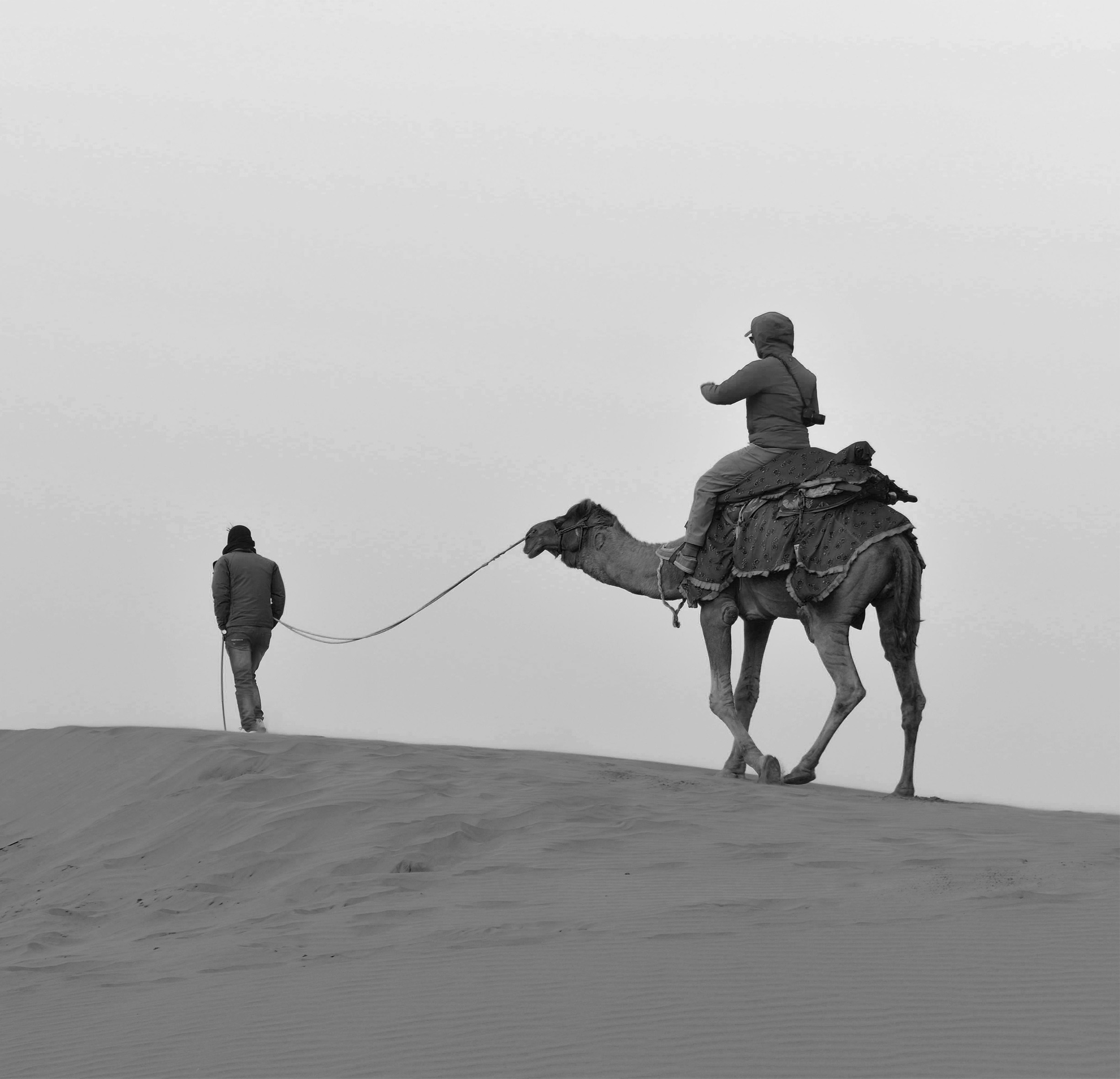 man riding camel on desert during daytime