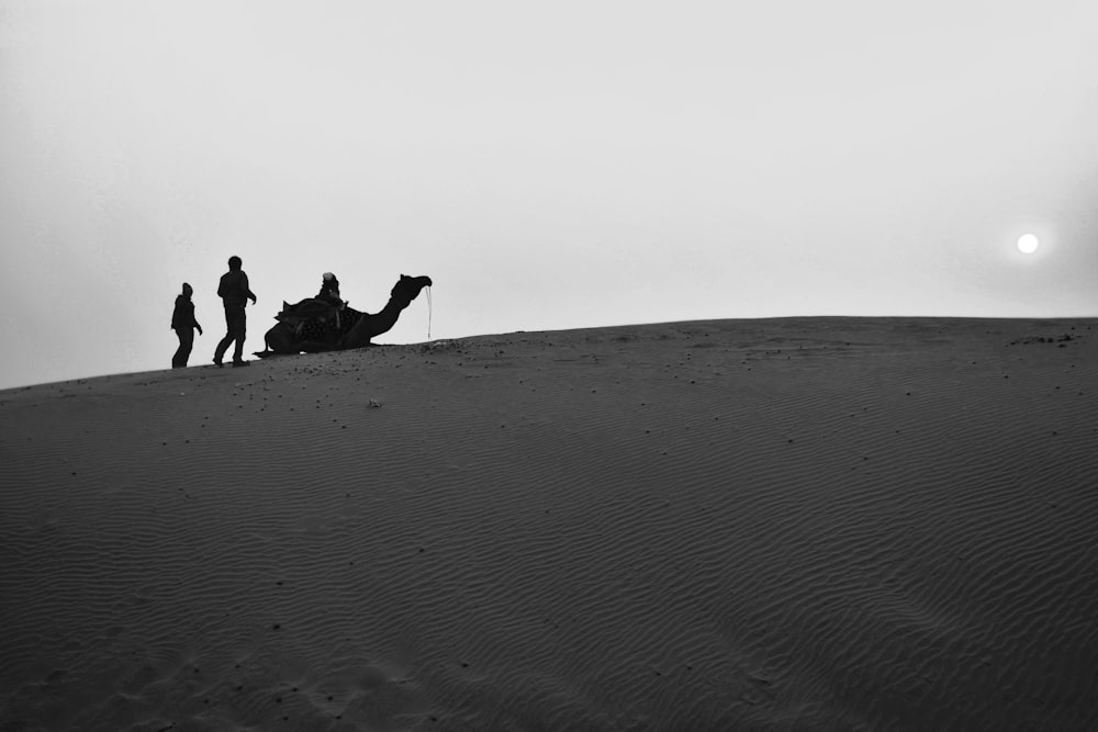 people riding camel on desert during daytime