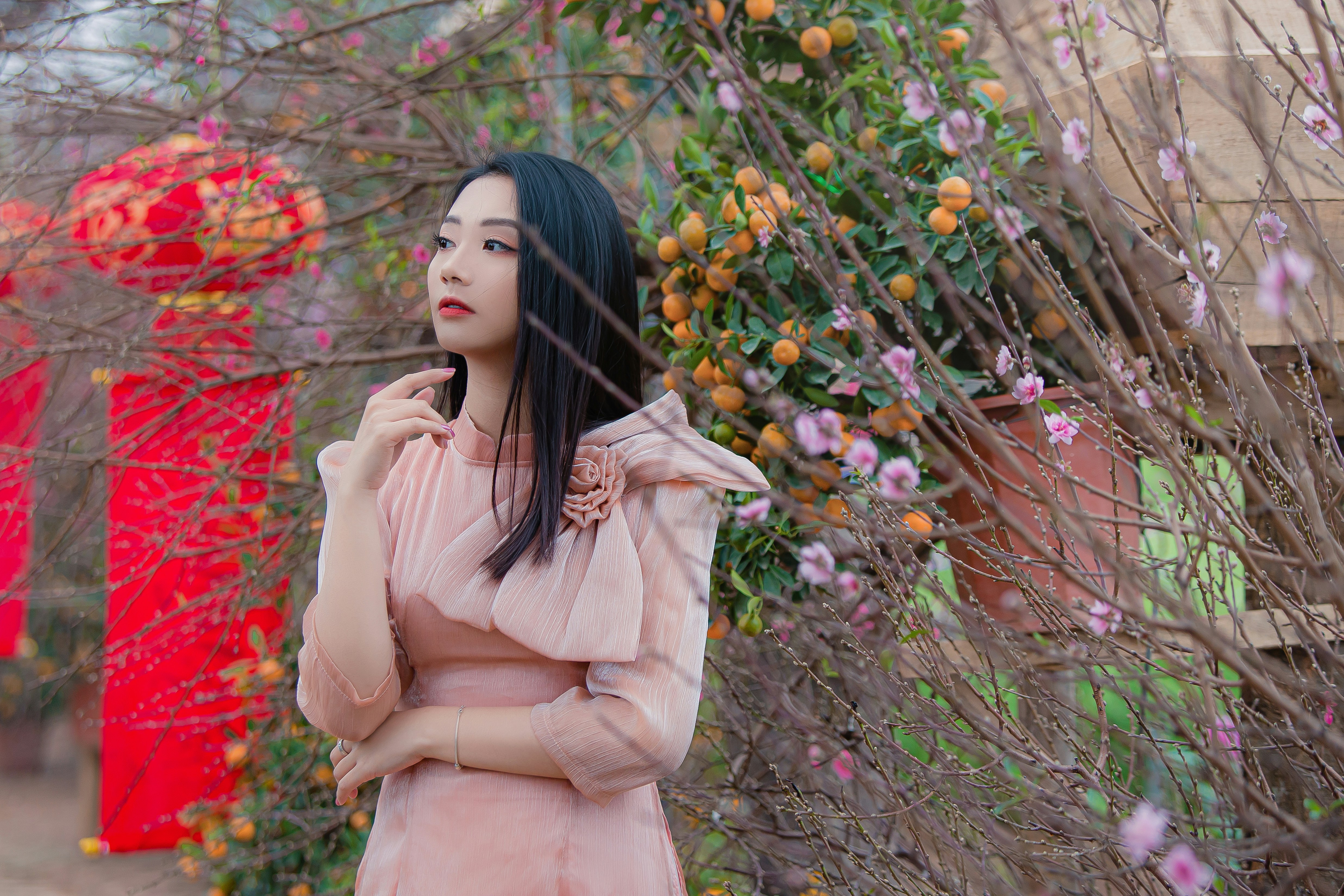 Photo by bachtran2000