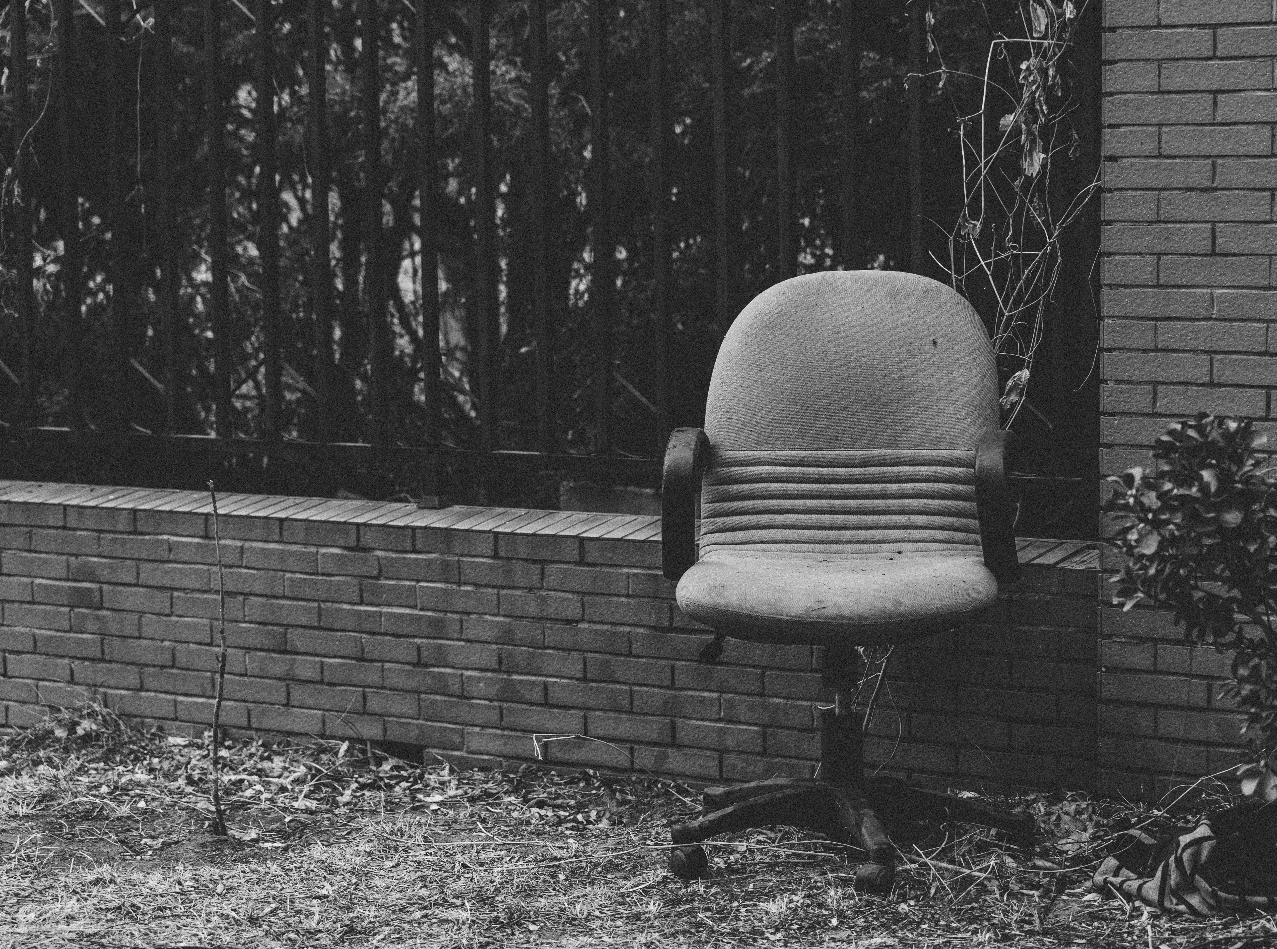 Photo by notprimadonna