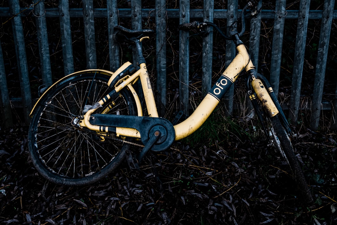 yellow and black bicycle on green grass