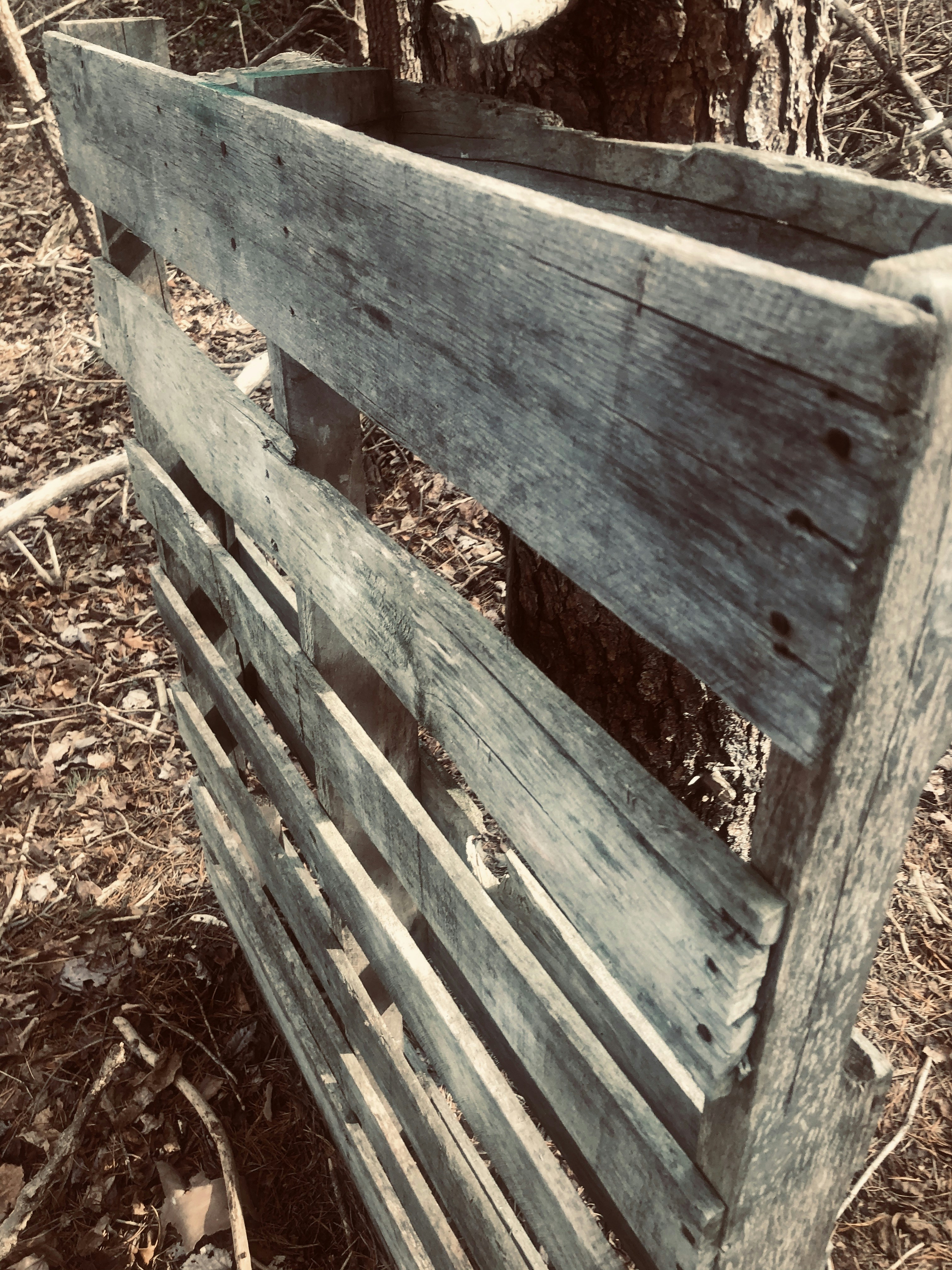 Palet Kayu dan Plastik Berkualitas