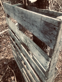 A weathered wooden pallet leaning against a tree with scattered dry leaves and twigs on the ground. The scene appears to be in a forest or wooded area, with muted colors suggesting age and exposure to the elements.