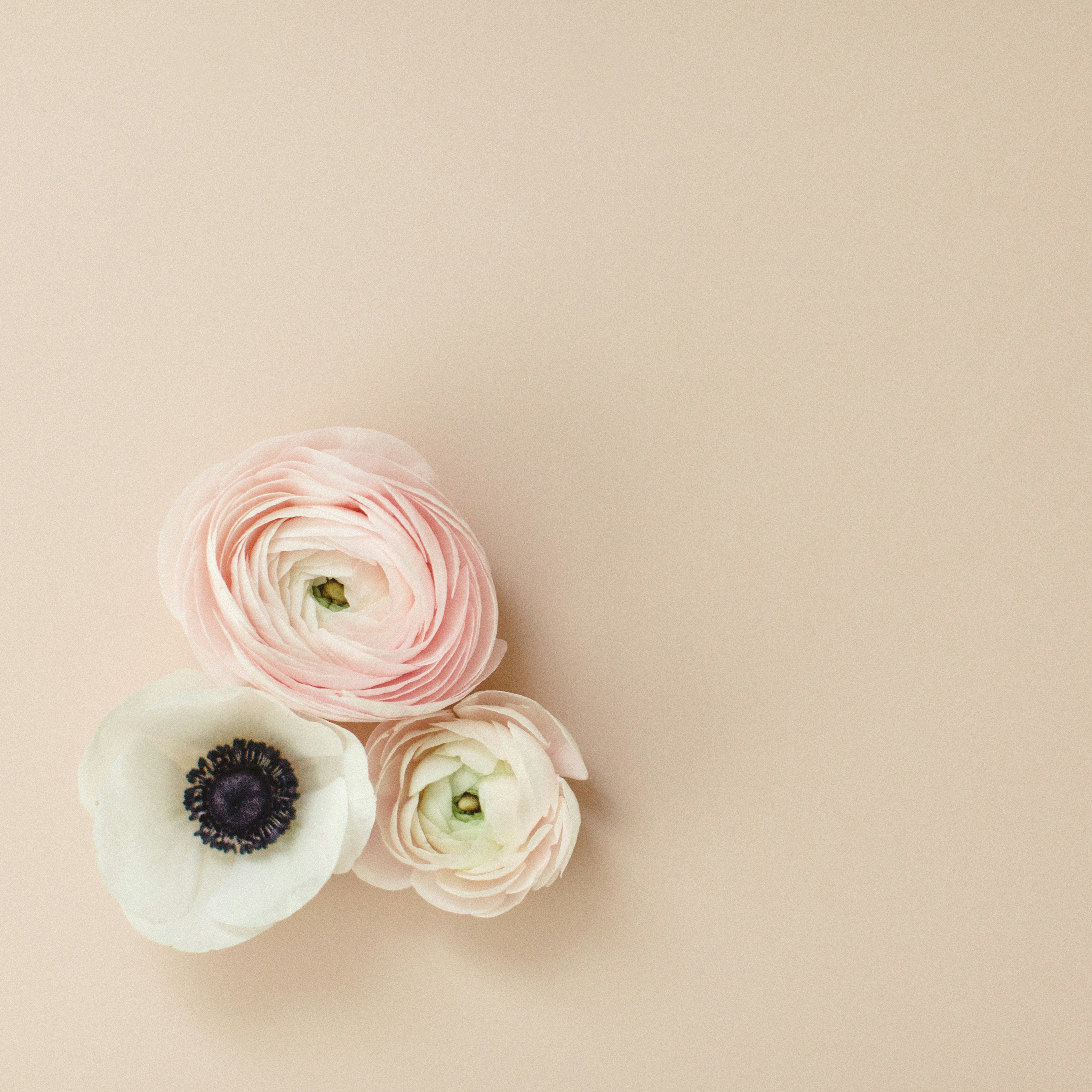 Photo by tiffanyrebecca