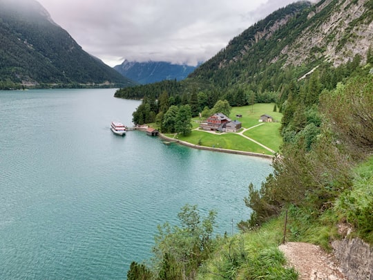 green trees on mountain beside body of water during daytime in Achenkirch Austria