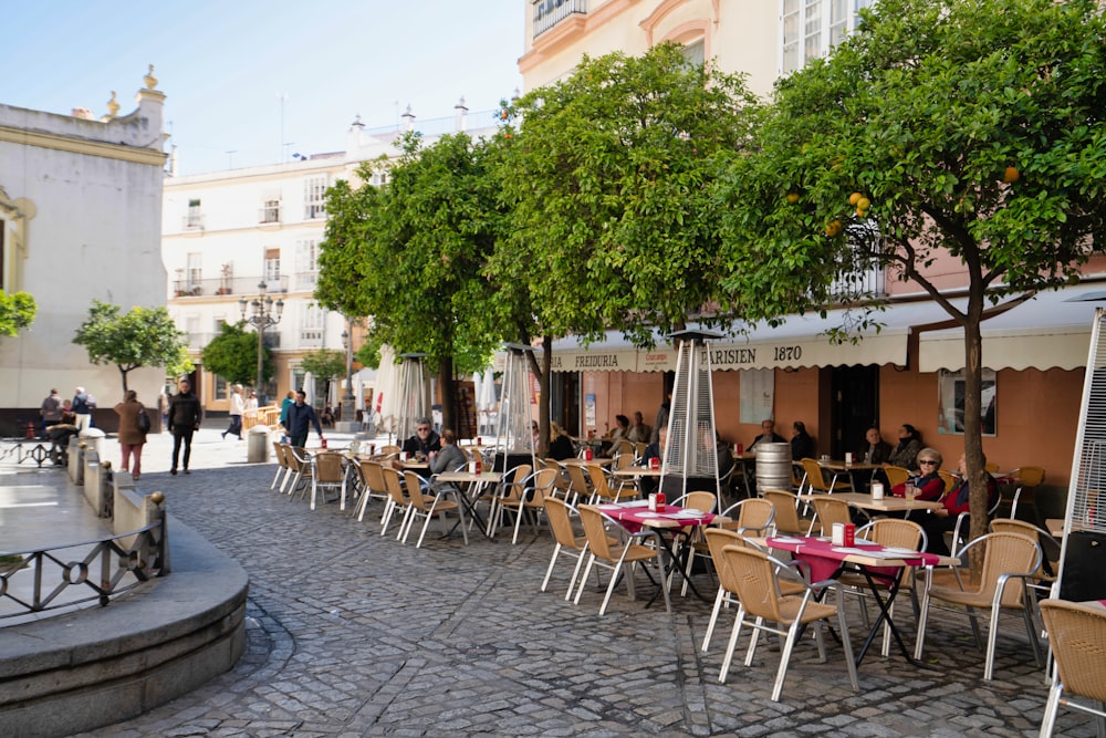 people sitting on chairs near green trees during daytime