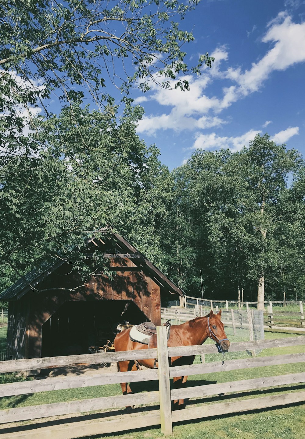 casa di legno marrone vicino agli alberi verdi durante il giorno