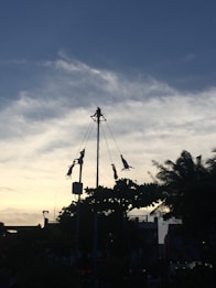 A group of people are performing a traditional aerial dance or ritual on a tall pole, silhouetted against a cloudy sky during sunset. The performers are positioned at varying heights around the pole, with ropes extending from it. In the background, there are trees and some buildings.