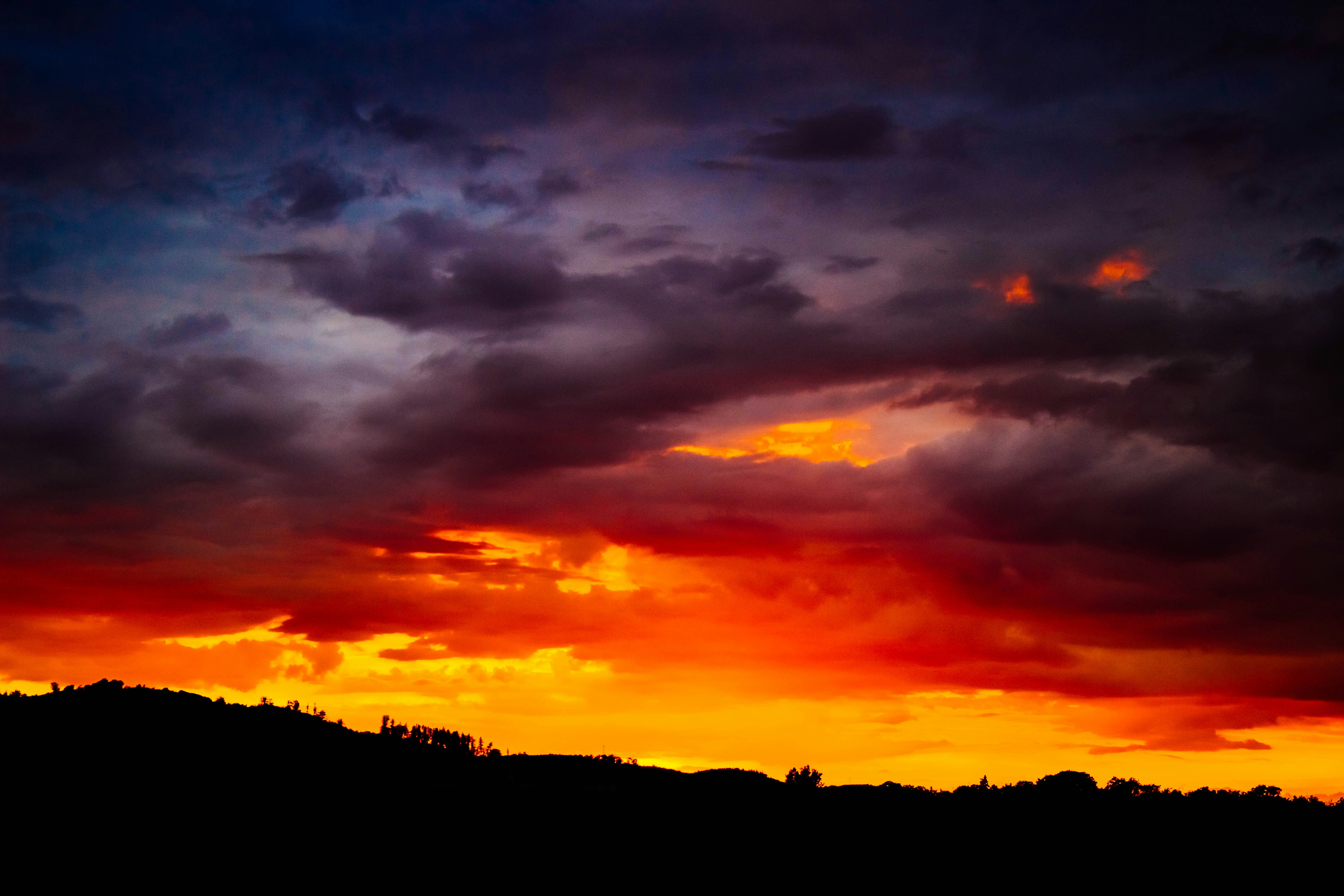 silhouette of trees during sunset