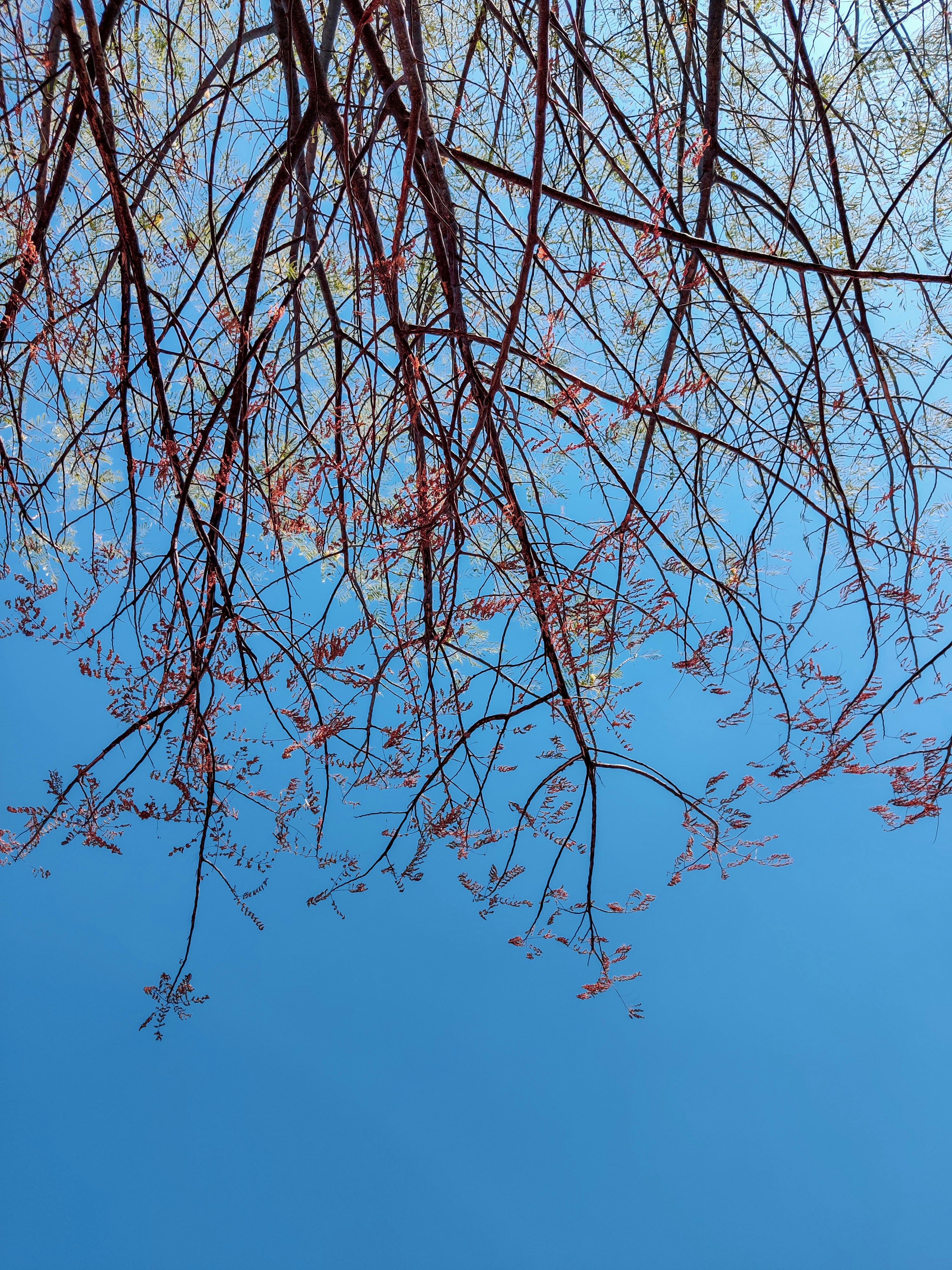 Photo by navi_photography