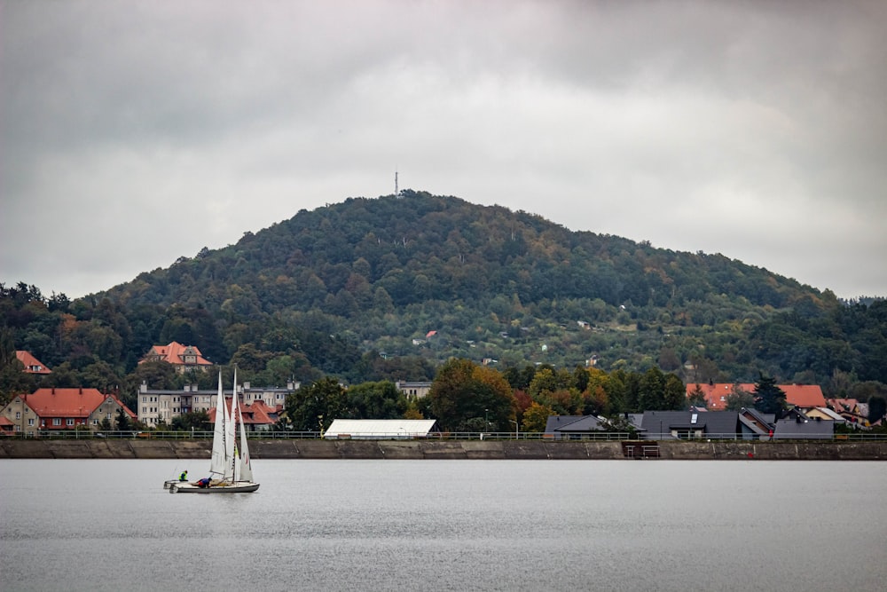 white sailboat on water near green trees during daytime