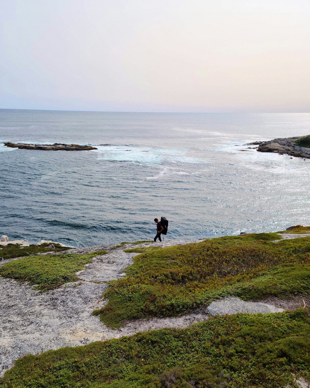 2 people walking on green grass field near sea during daytime