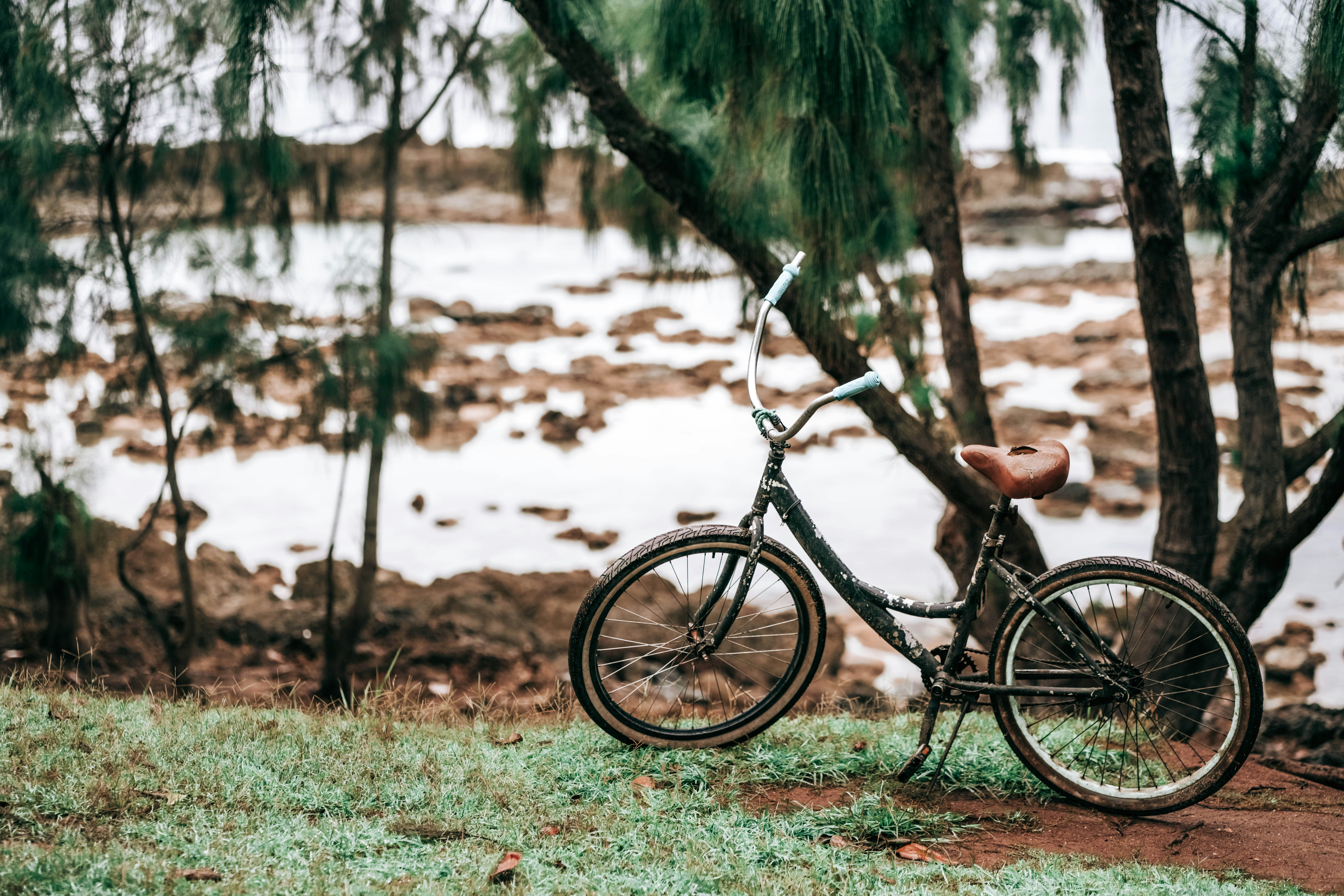 Photo by glennclaire