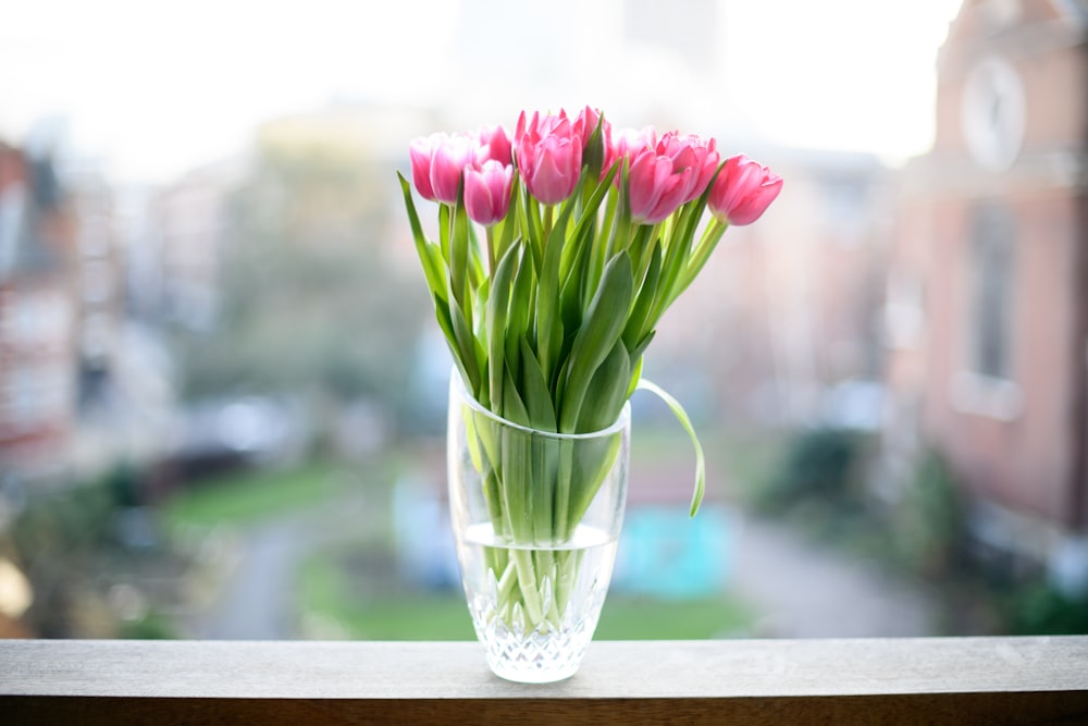 透明なガラスの花瓶に生けられたピンクのチューリップ