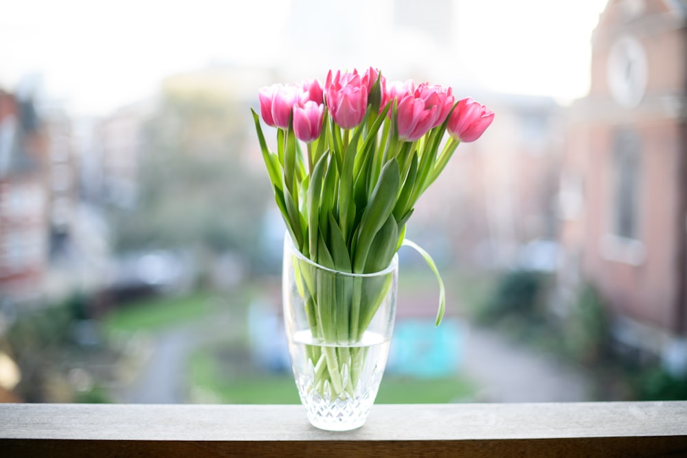 pink tulips in clear glass vase