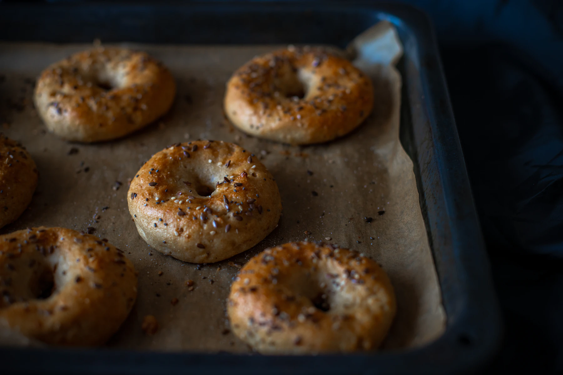 Seeded bagels with an even golden crust on parchment in a dark sheet pan
