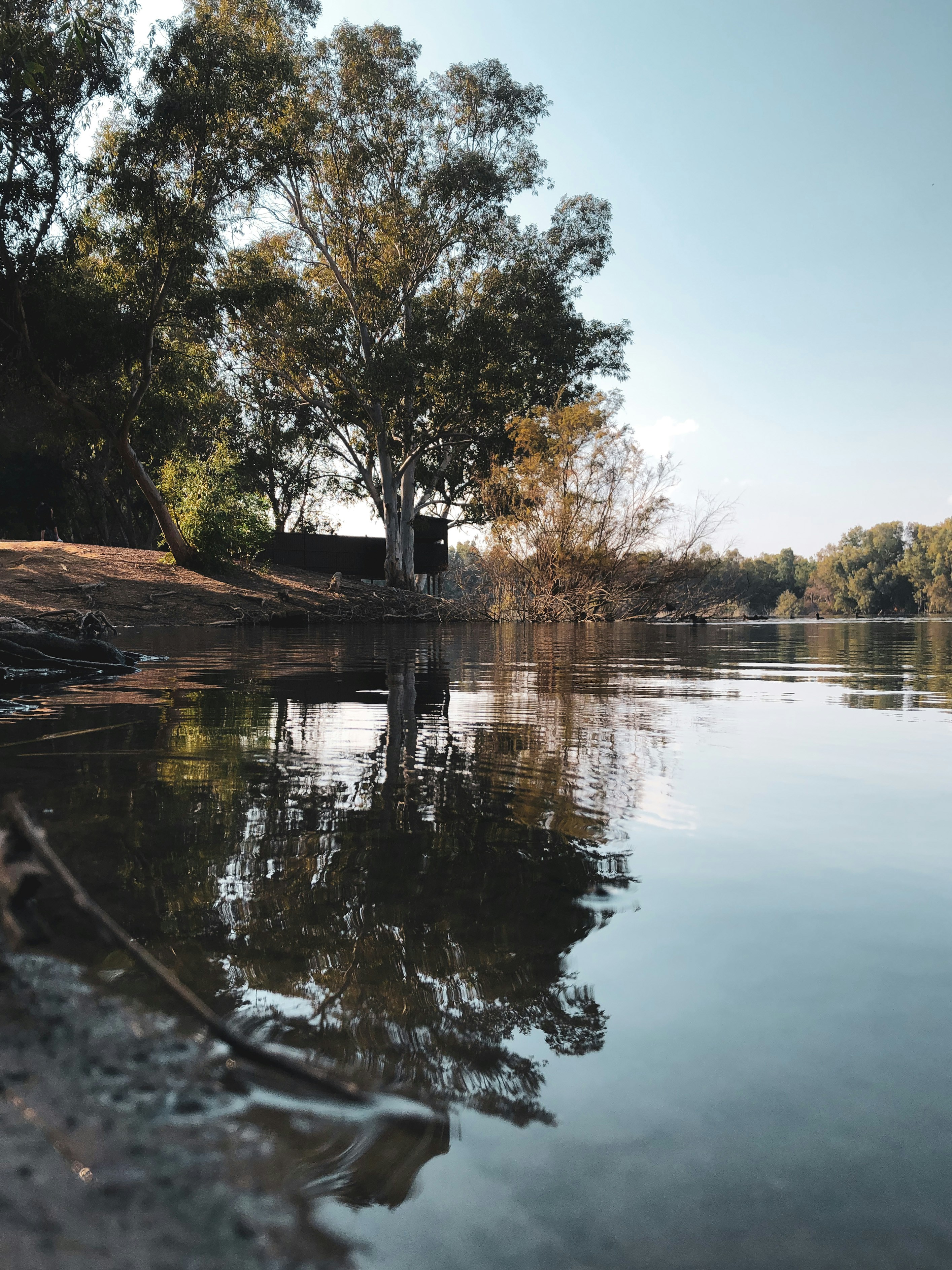 Grüne Bäume am Fluss unter blauem Himmel während des Tages
