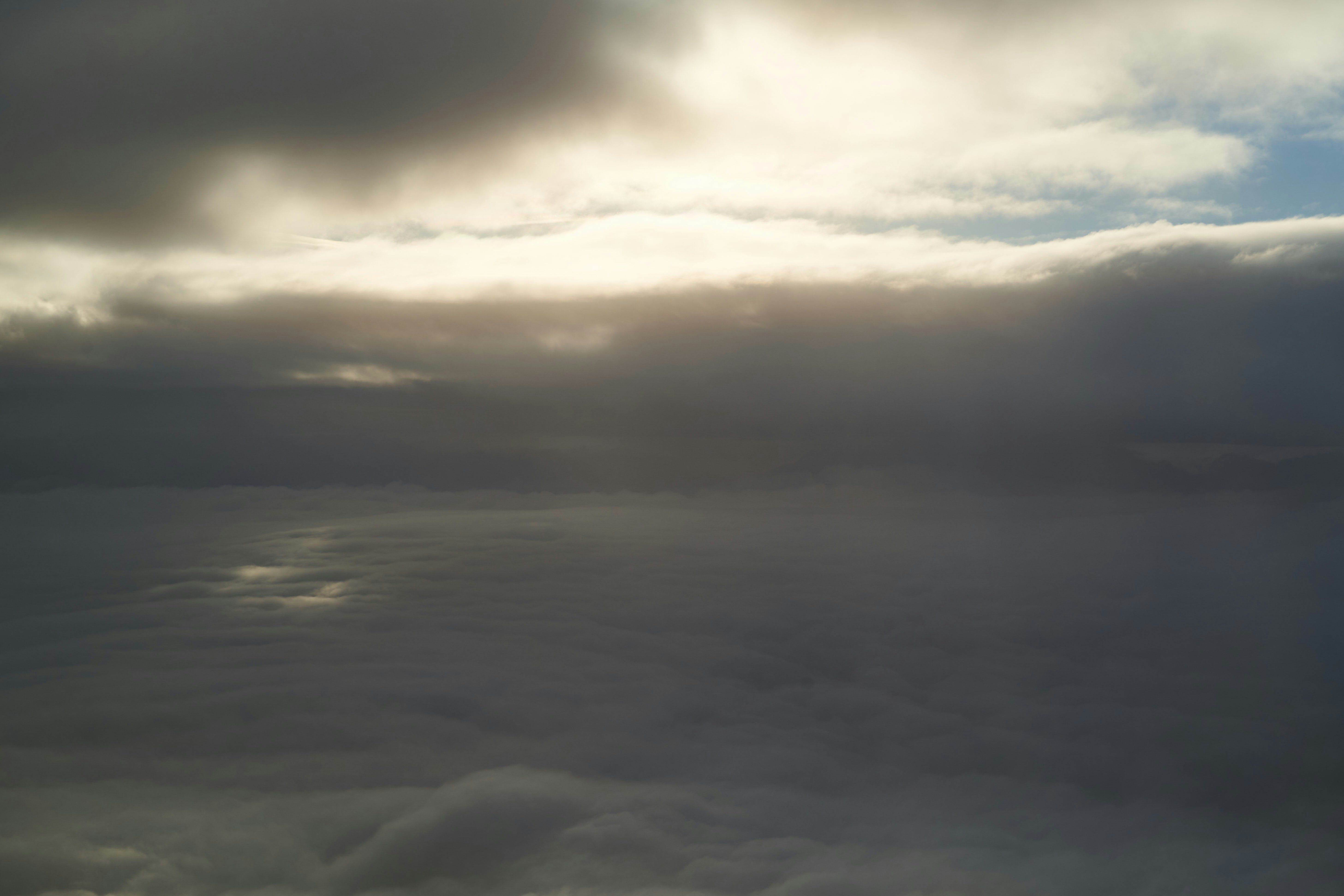 Photo by wolfgang_hasselmann