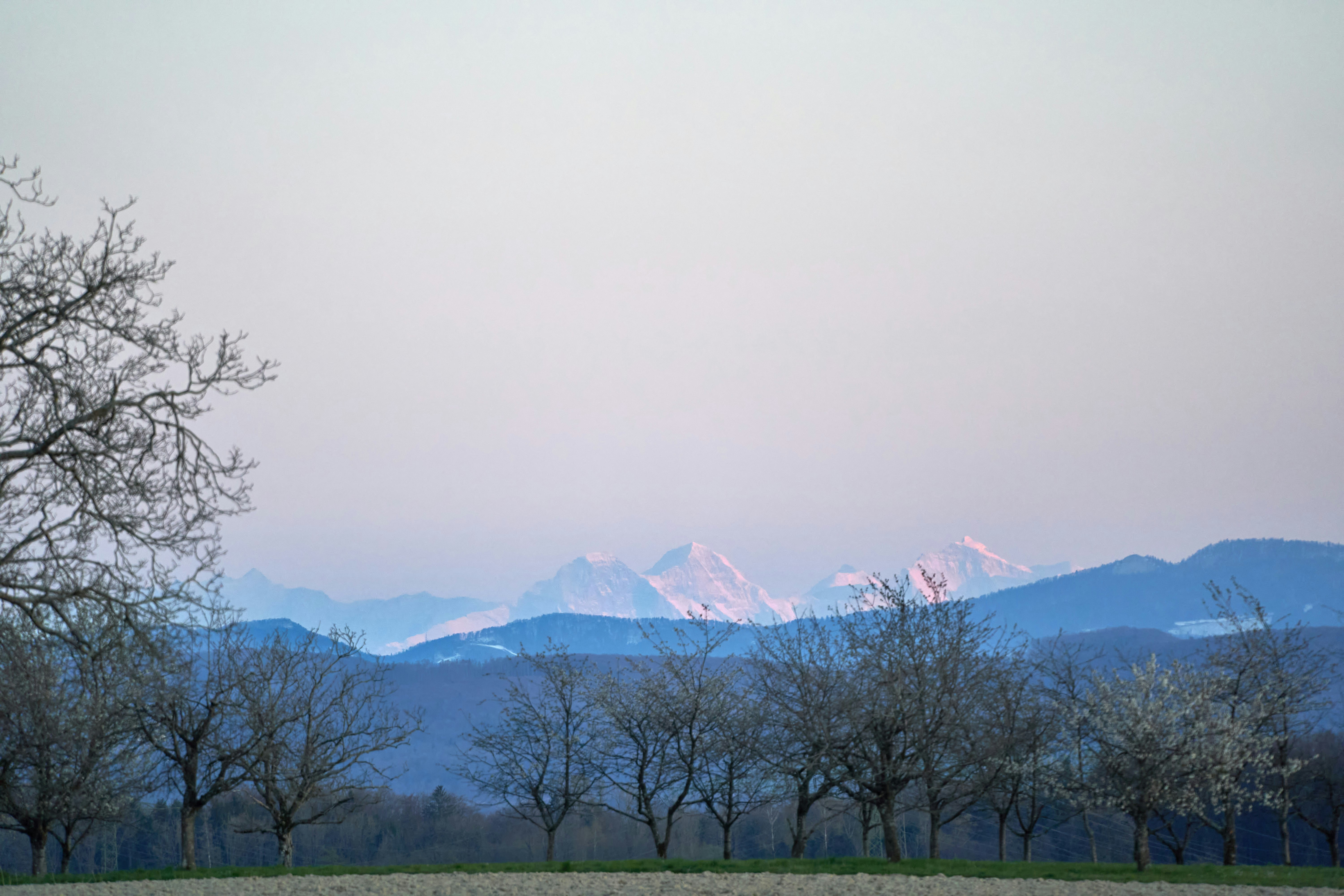 Photo by wolfgang_hasselmann