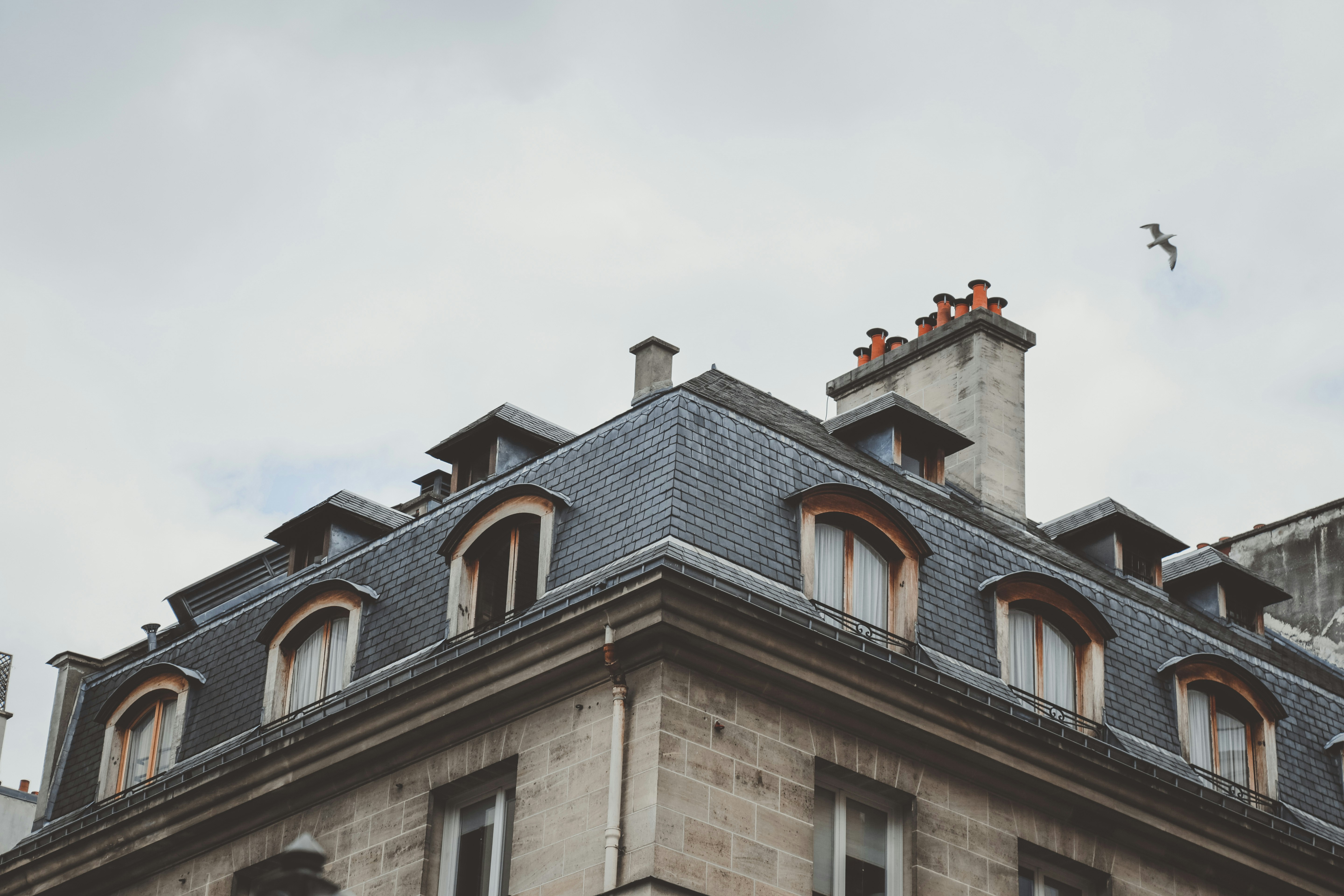 Photo by i_am_simoesse