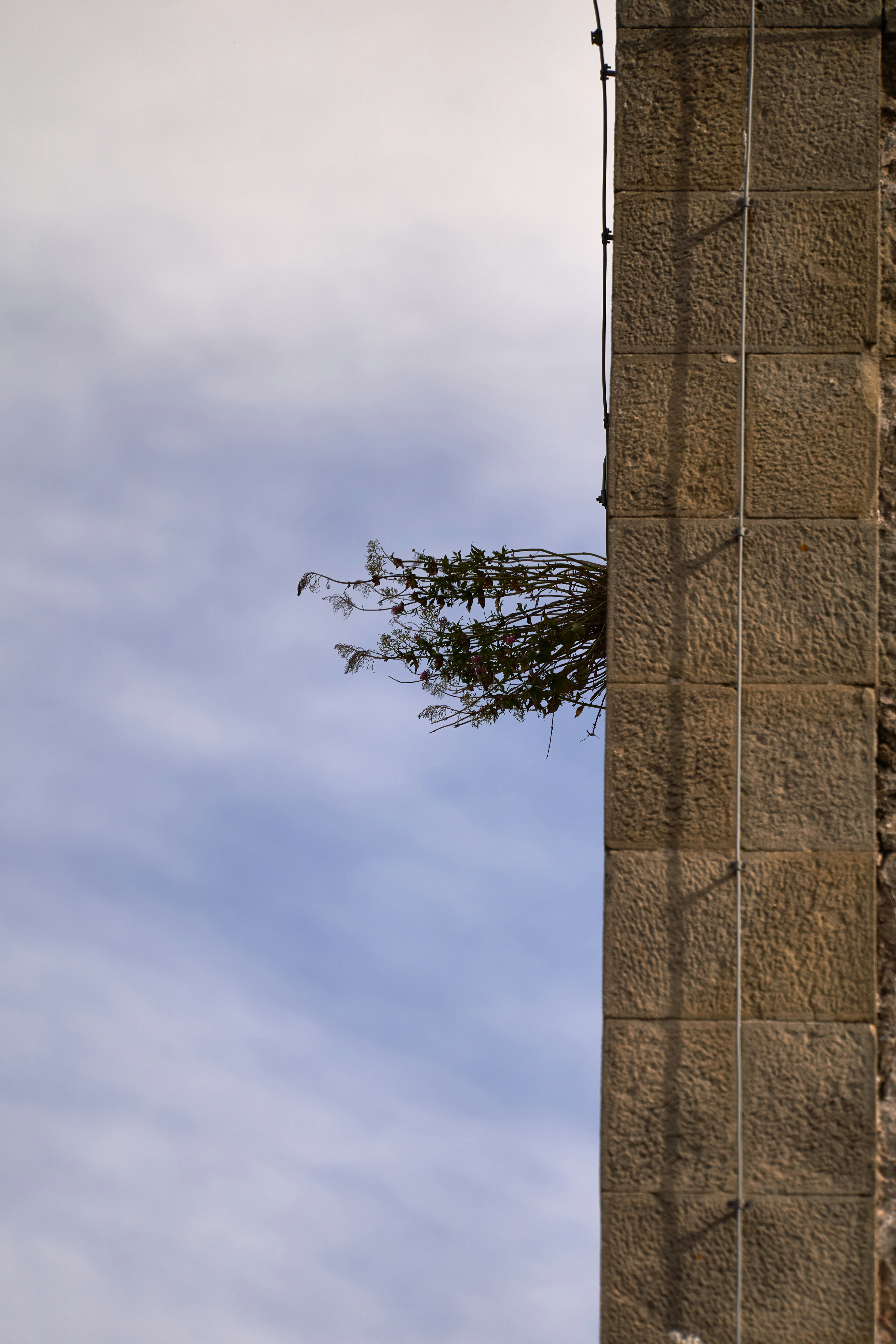 Photo by wolfgang_hasselmann