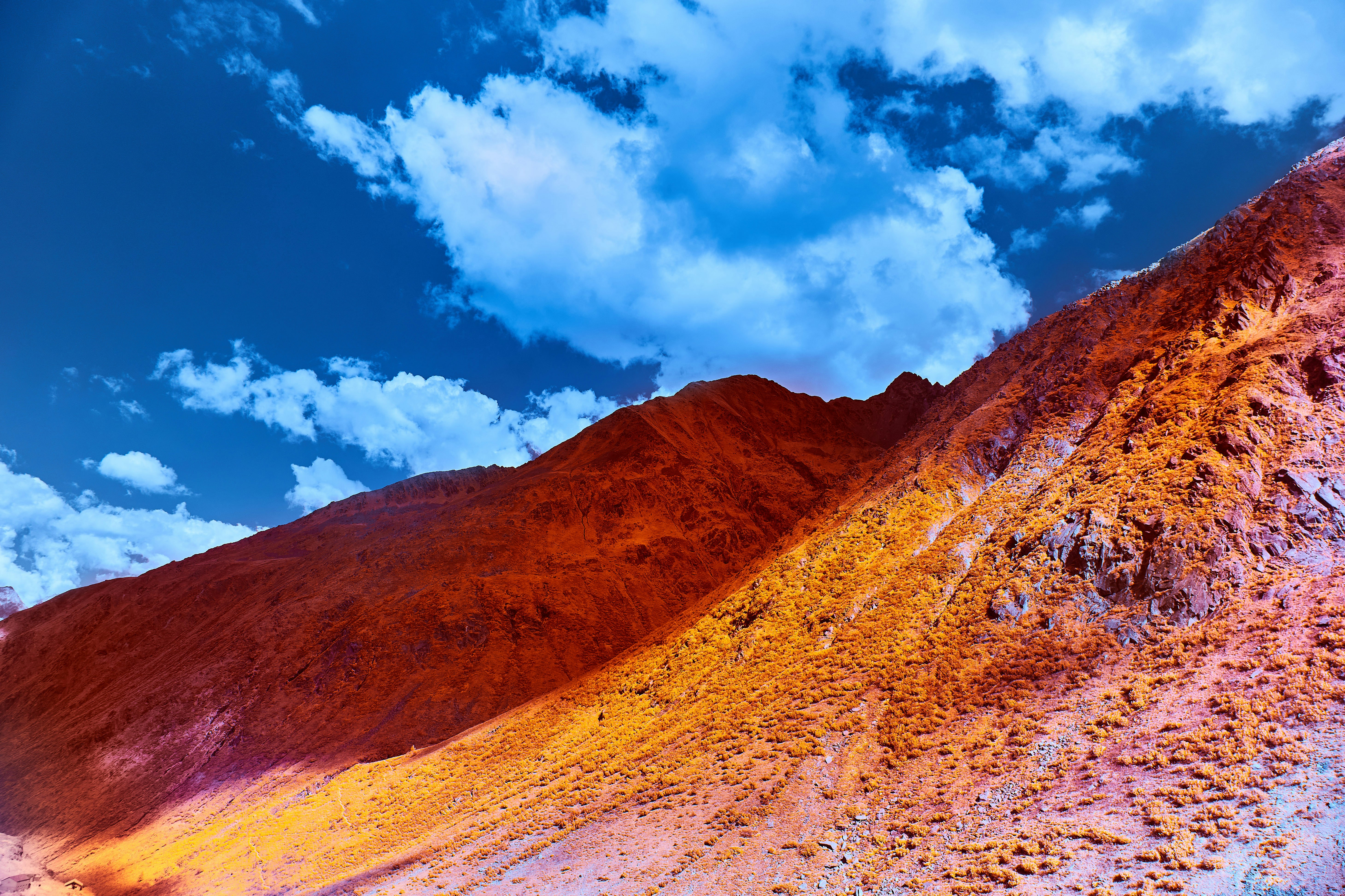 Photo by wolfgang_hasselmann