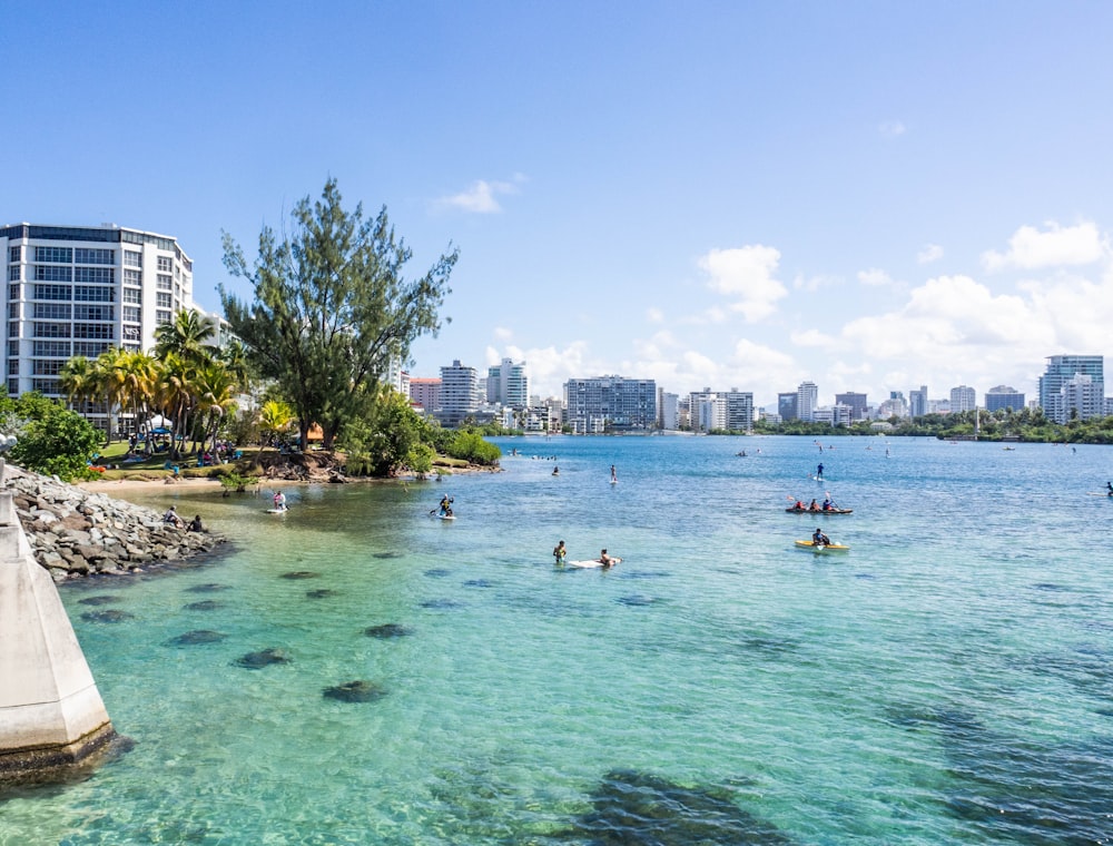 people swimming on beach during daytime