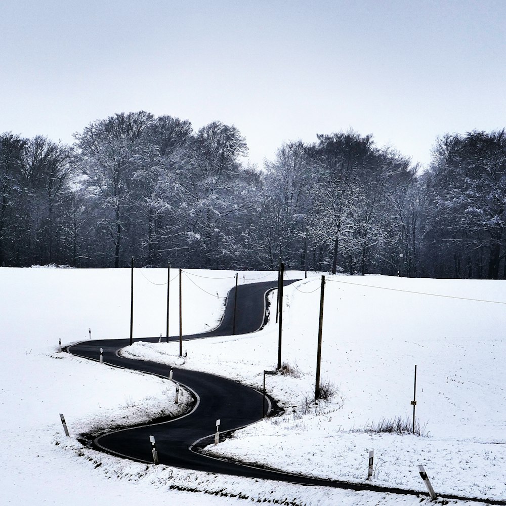 snow covered field with trees during daytime