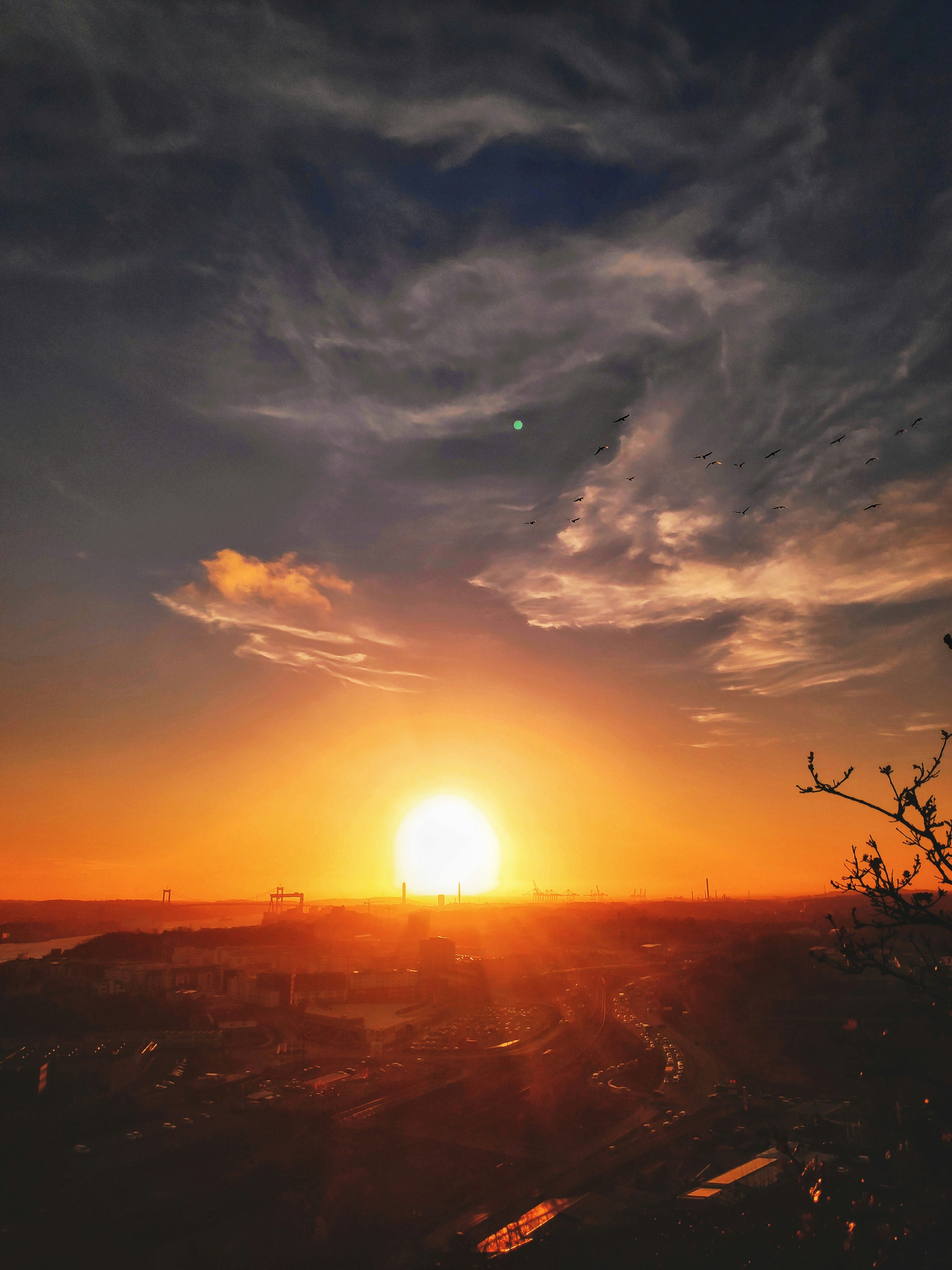 Photo by yulia_gadalina