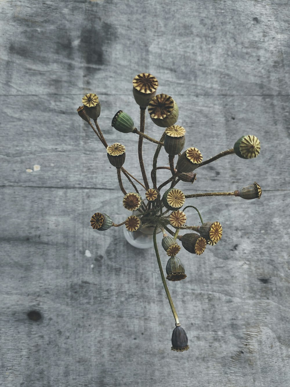 white and brown flowers on gray textile