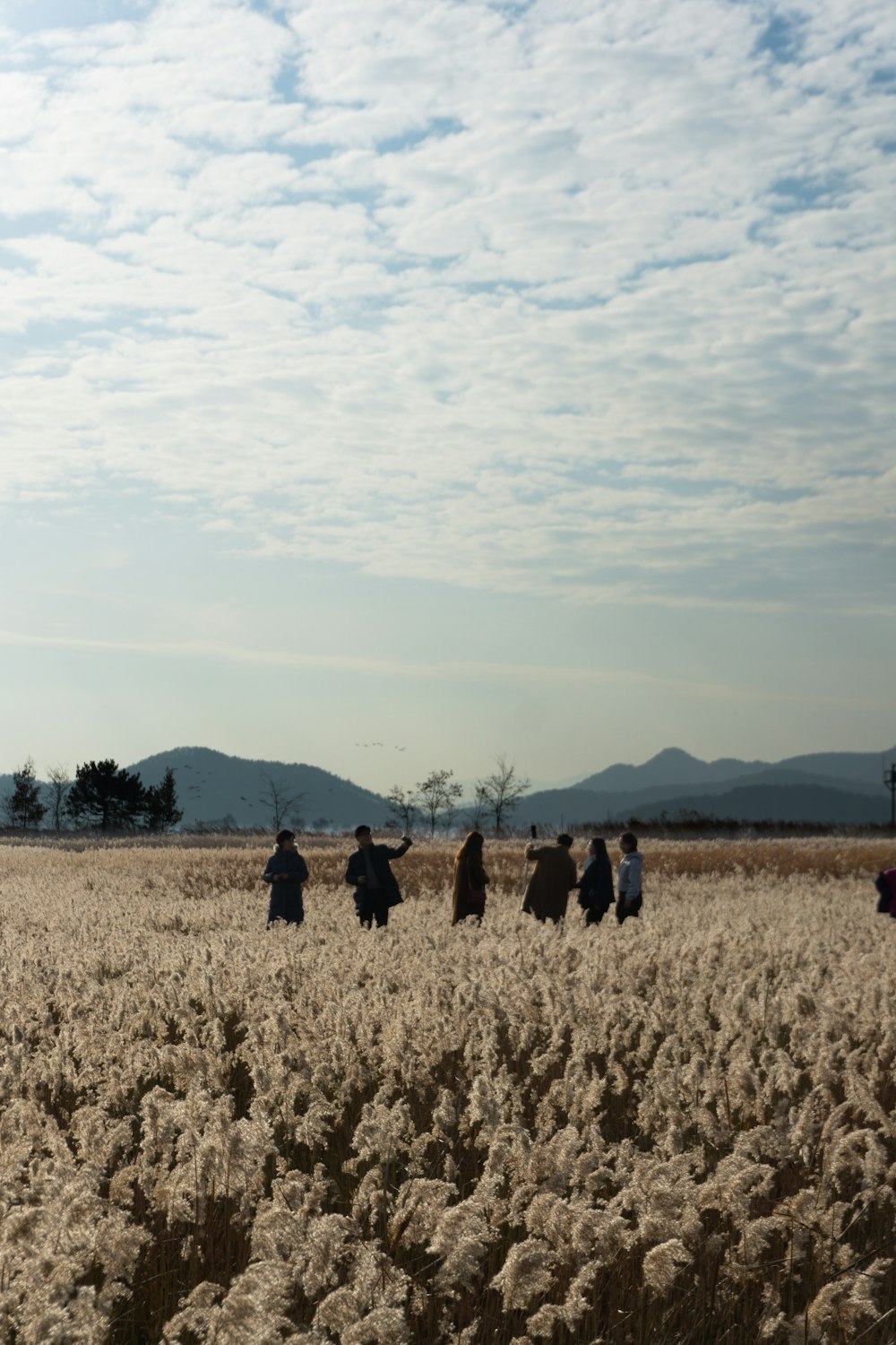 pessoas em pé no campo de grama marrom durante o dia