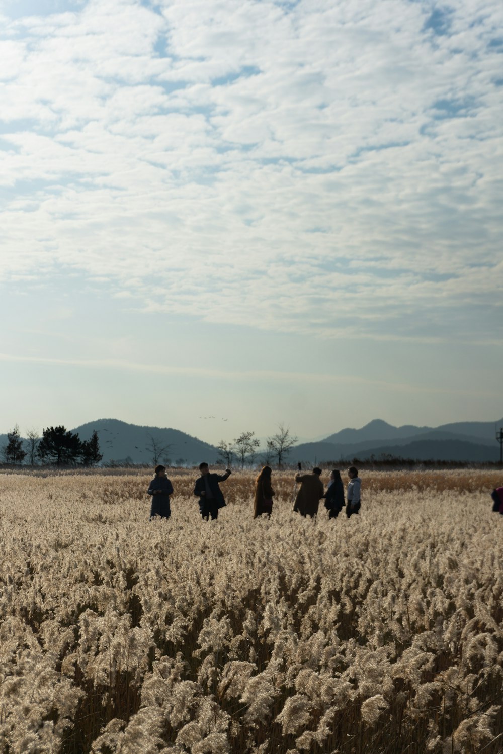 people standing on brown grass field during daytime