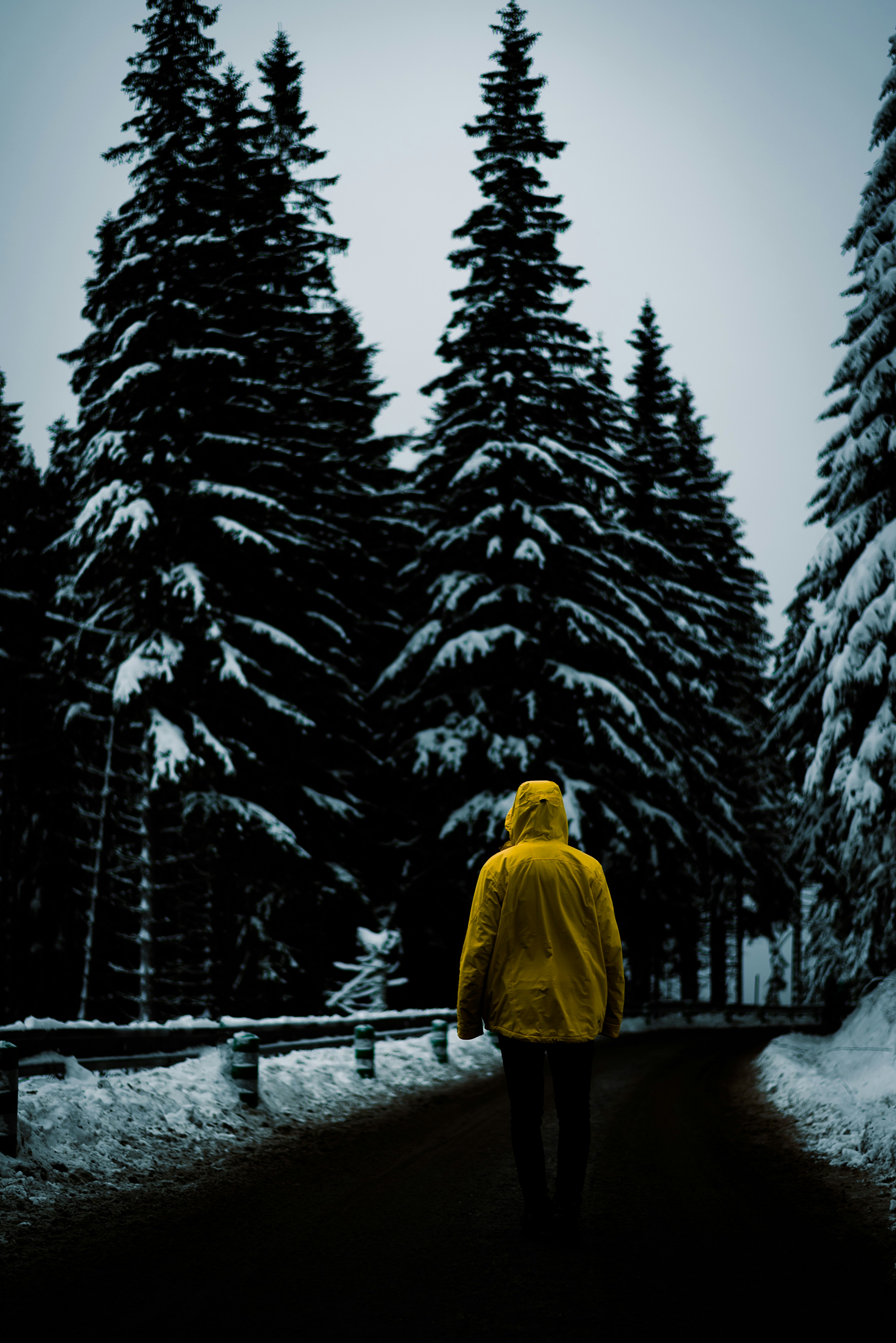 Photo by michaldostalmd