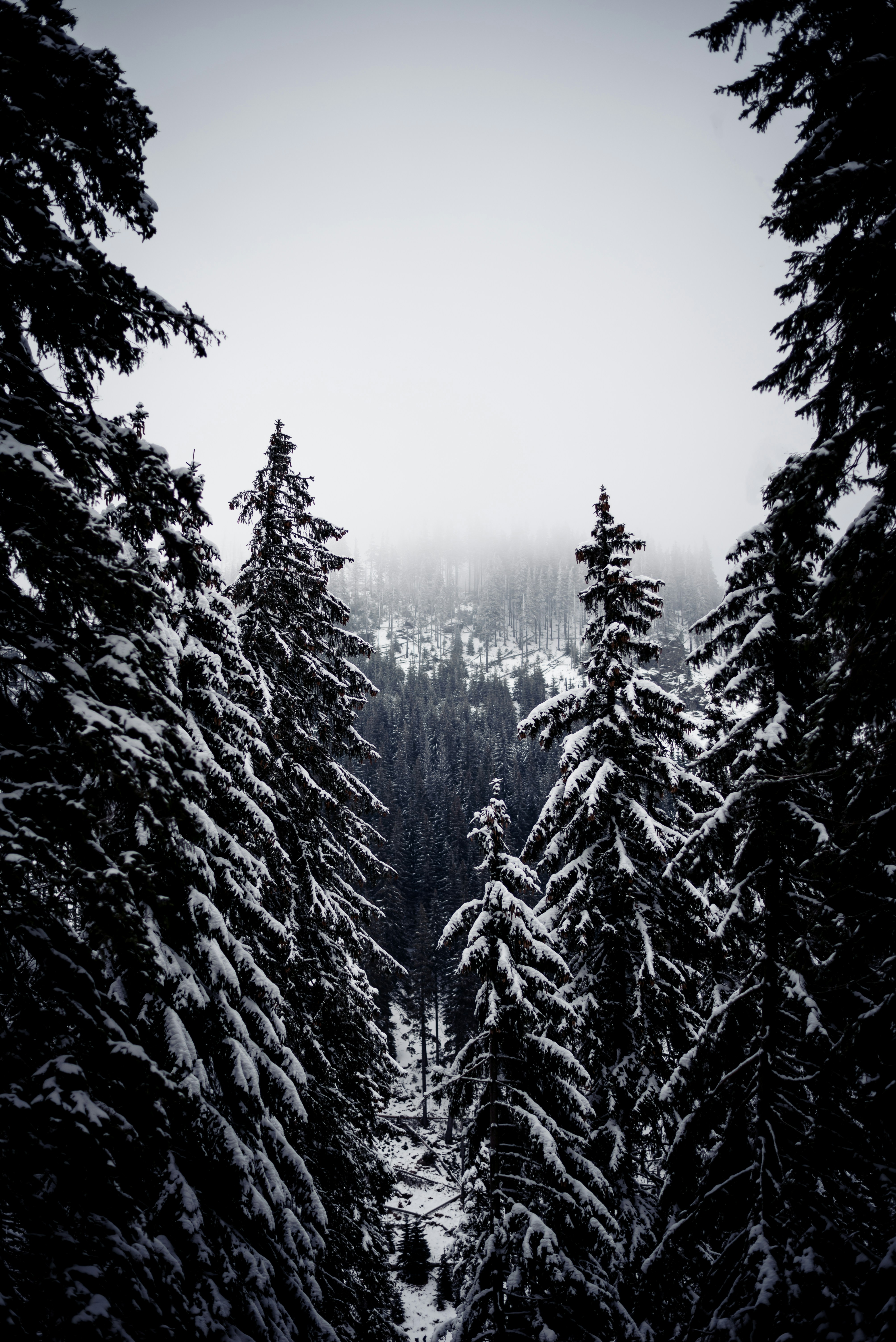 Photo by michaldostalmd