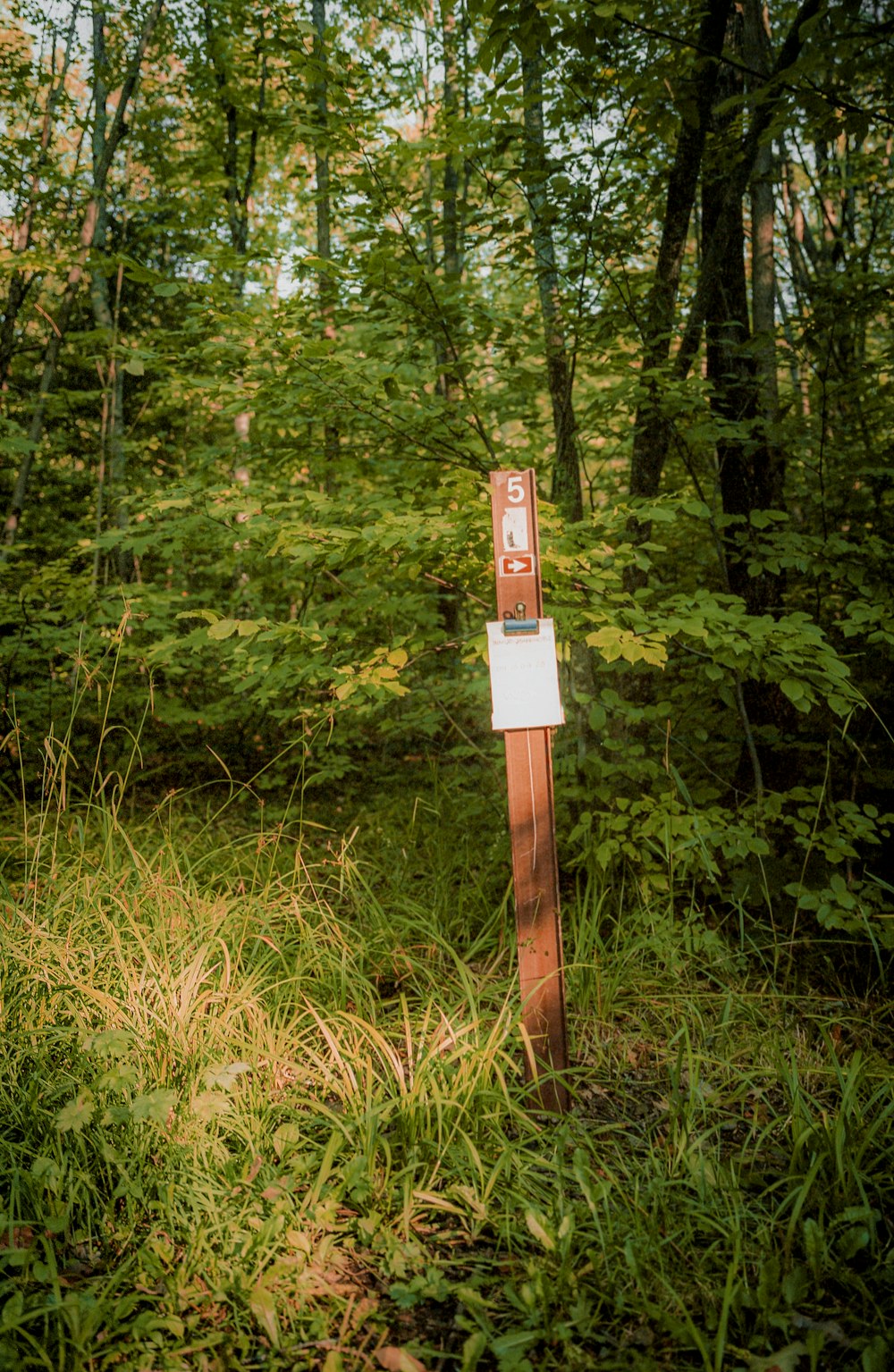 Croix en bois marron sur champ d’herbe verte