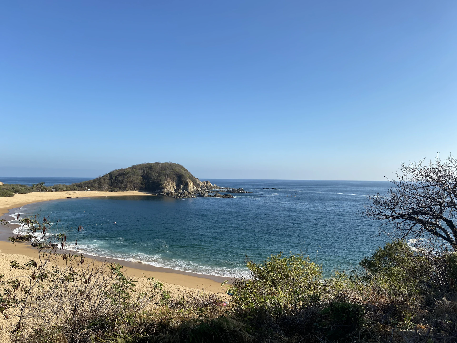 green trees on brown sand beach during daytime