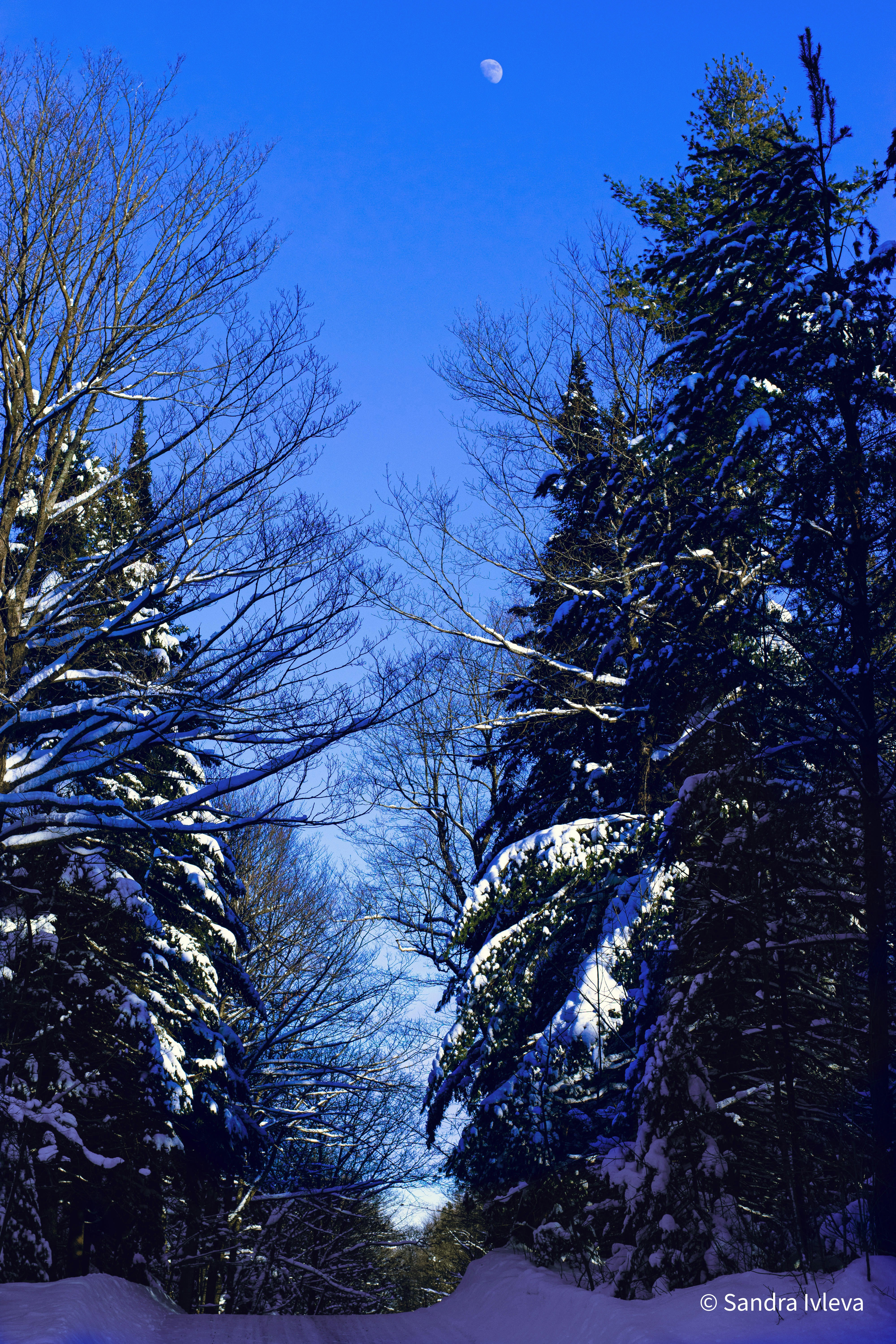 Photo by sandra_ruda