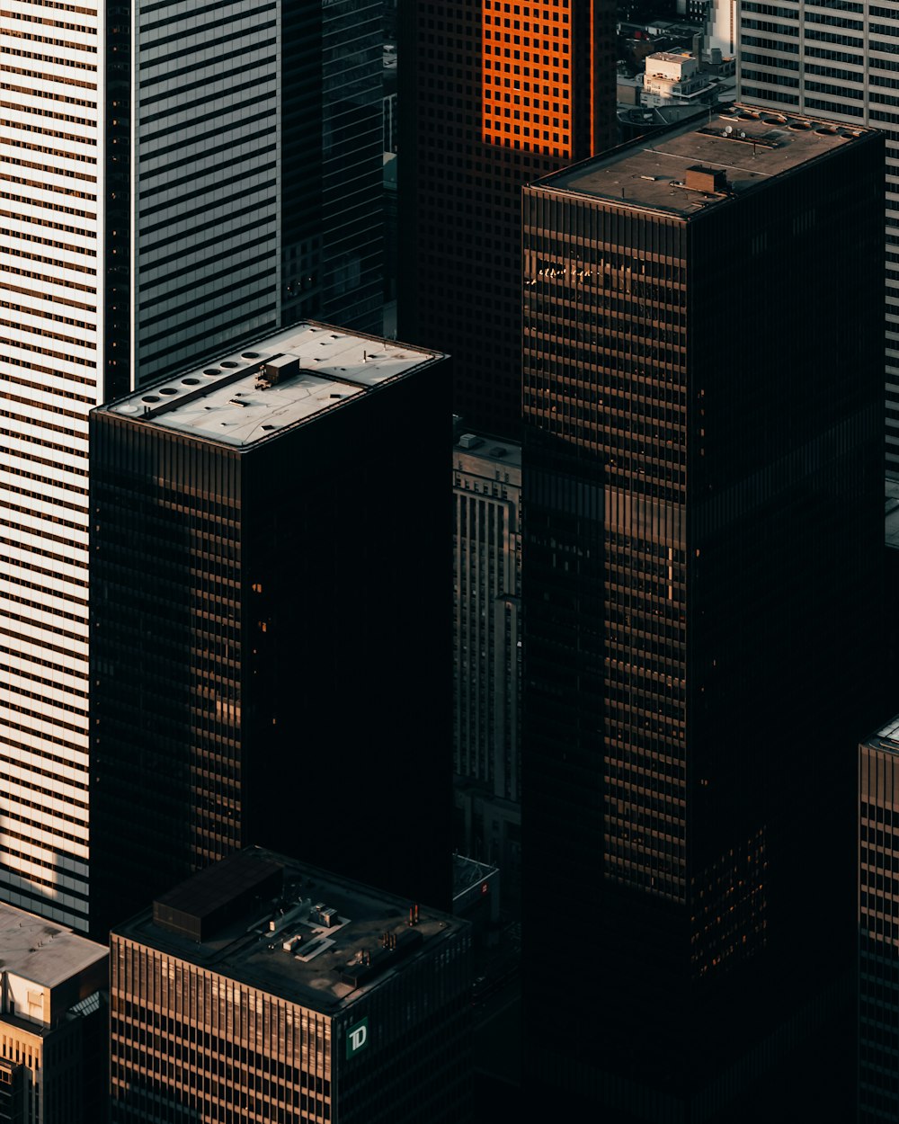 high rise buildings during daytime