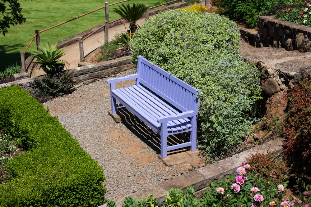 blue wooden bench near green plants during daytime