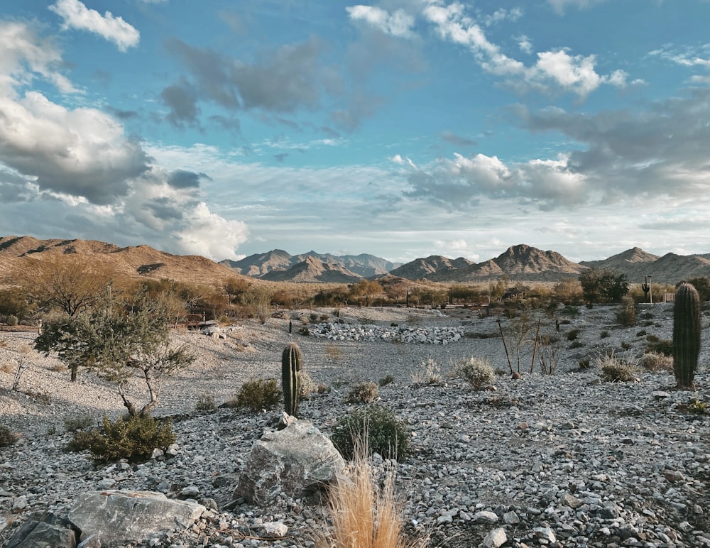 brown and gray mountain under blue sky during daytime