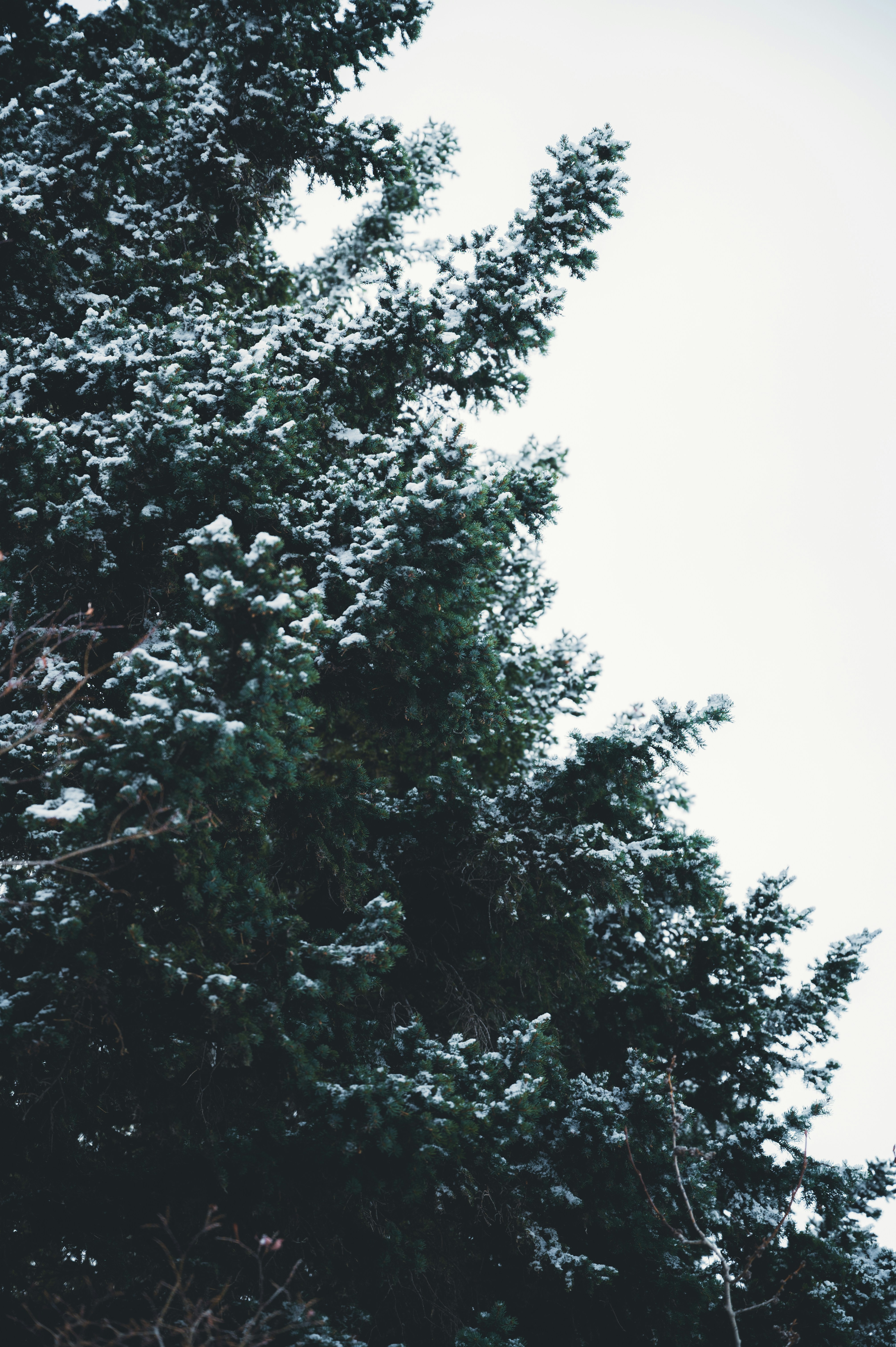 Photo by ryunosuke_kikuno