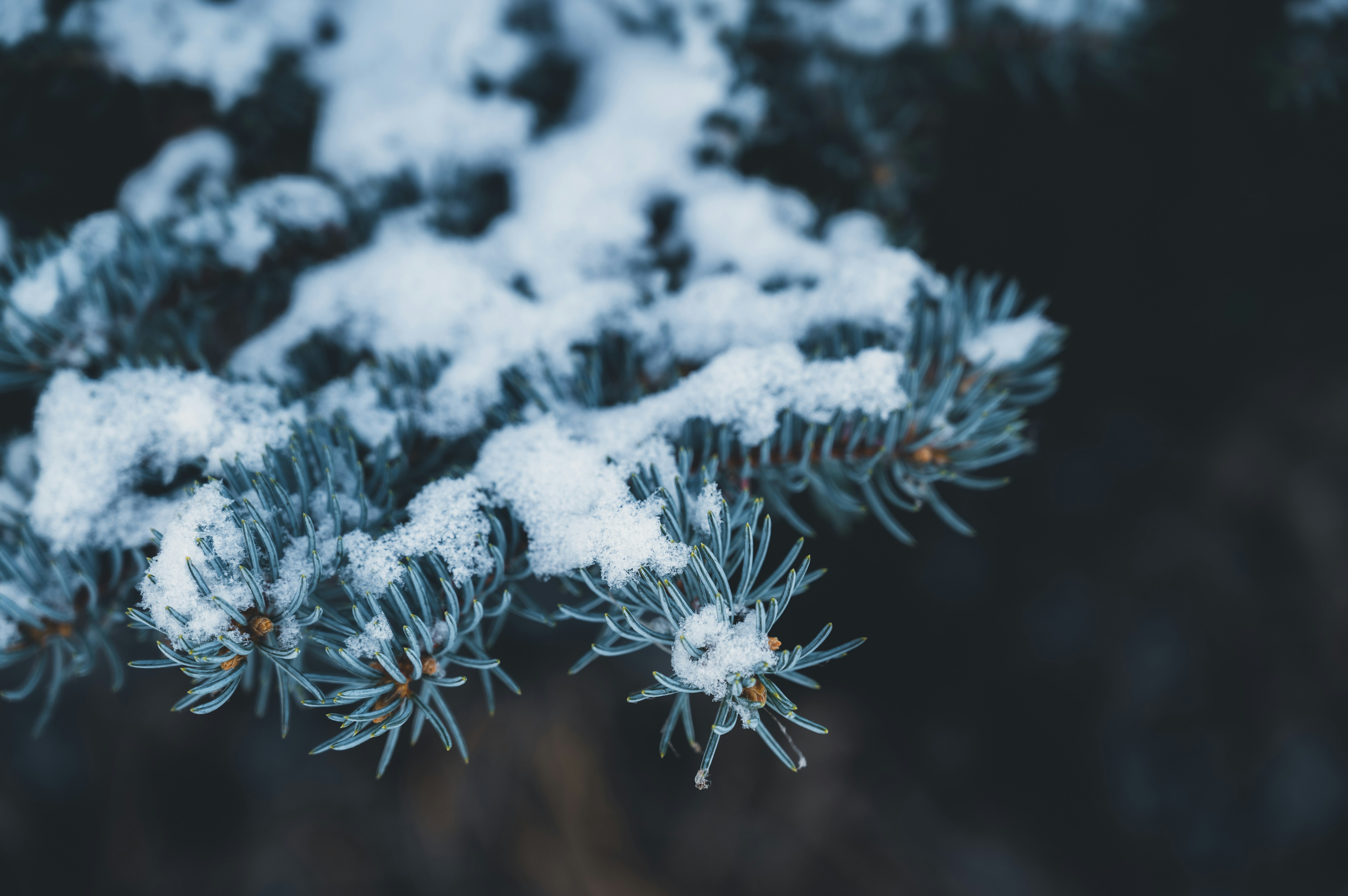 Photo by ryunosuke_kikuno