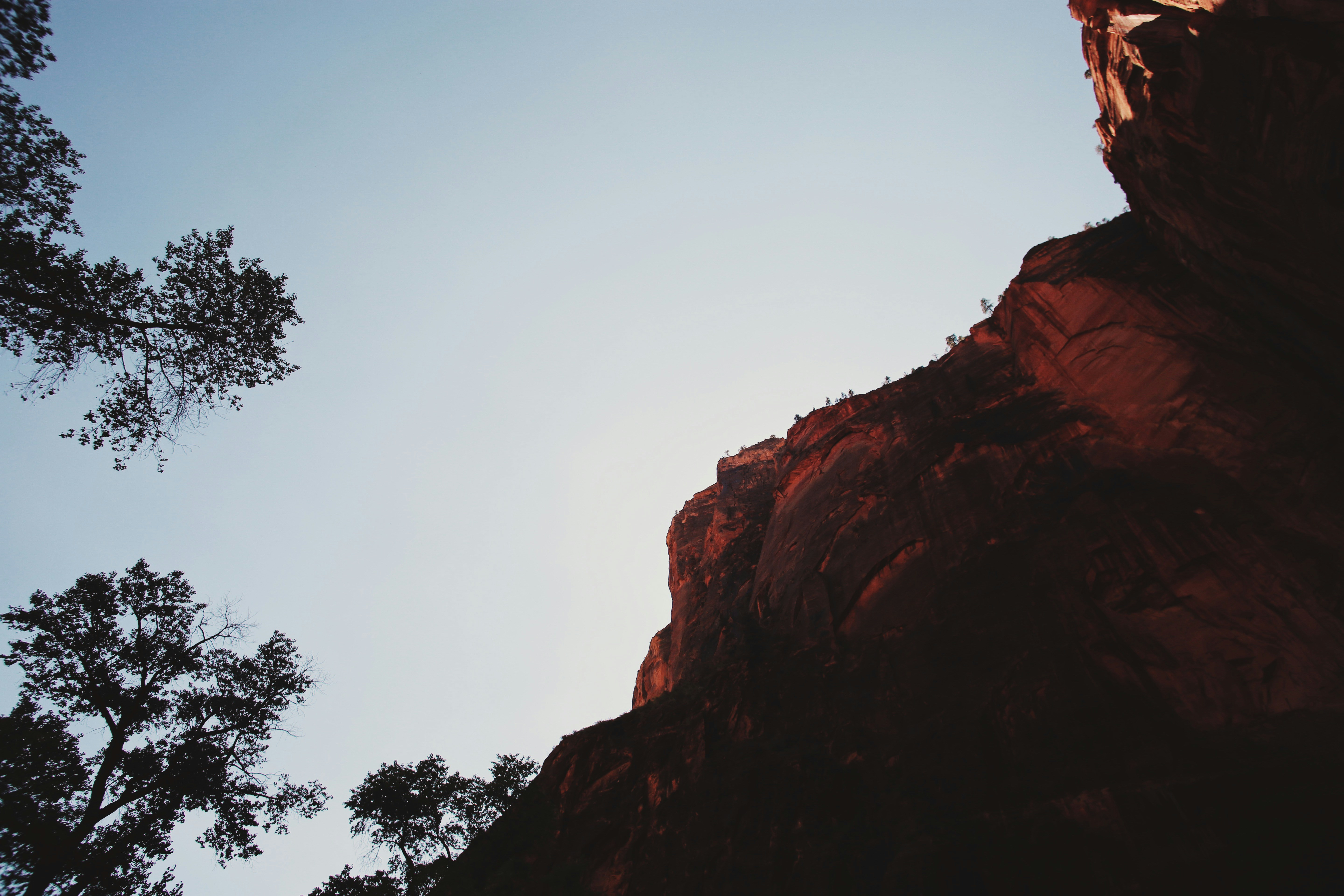 Photo by giorgiotrovato