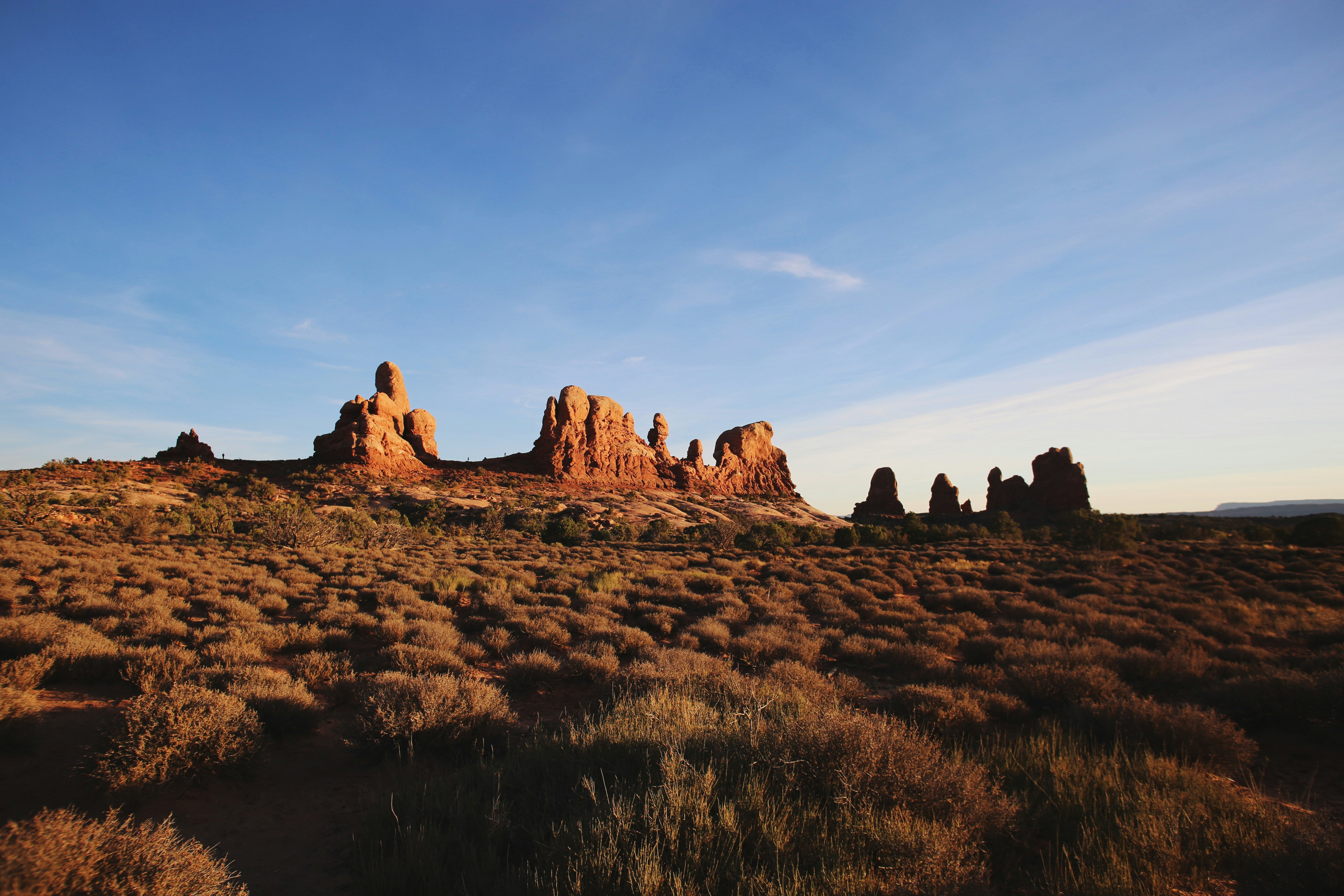 Photo by giorgiotrovato