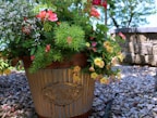 A metal planter box with a trellis, blooming with vibrant flowers in a sunny garden.