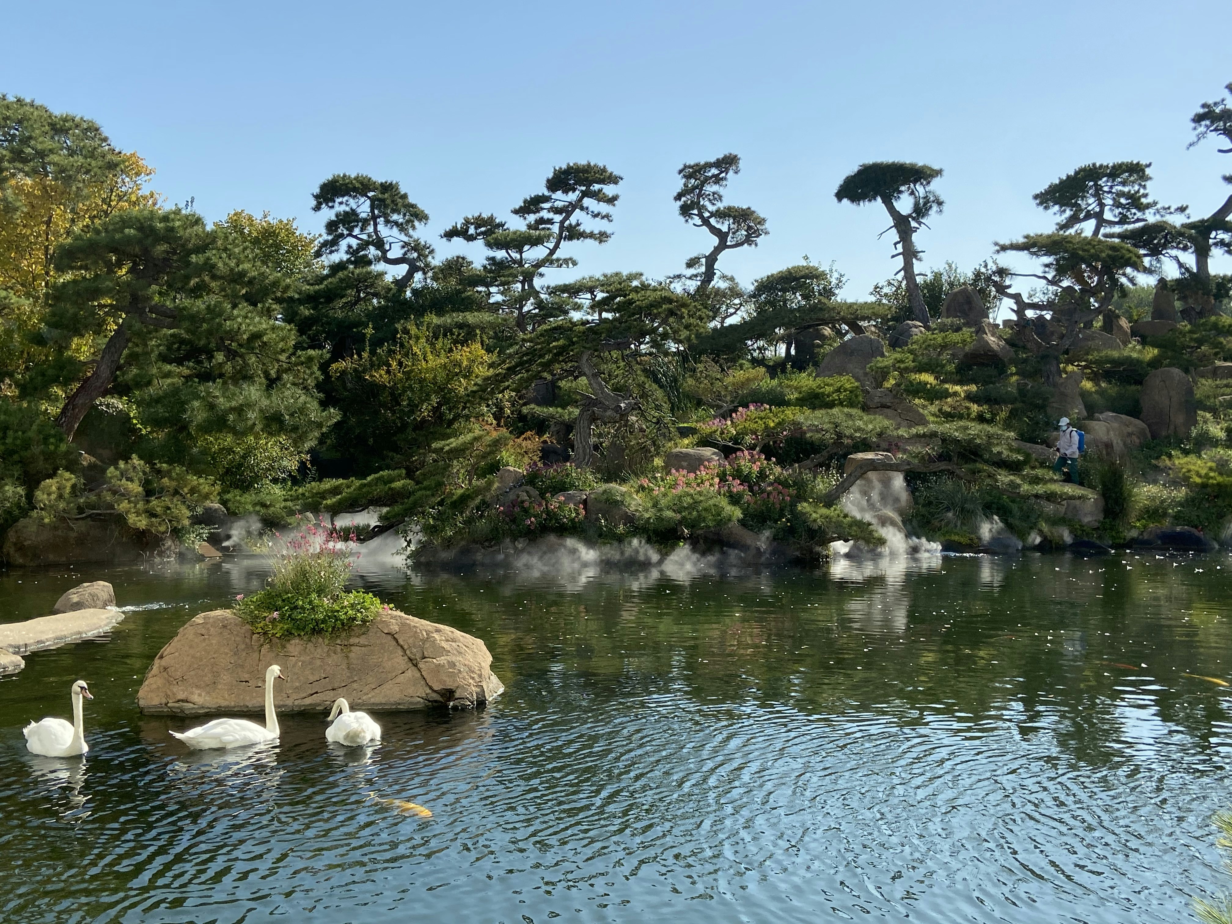 Photo by ryanzhao2021