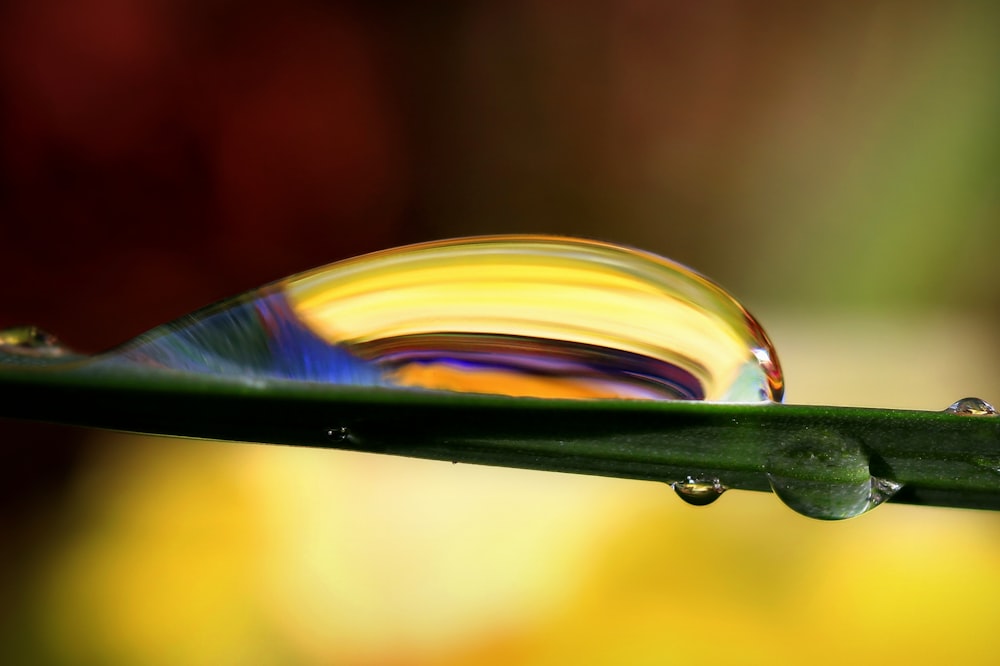 water drop in macro lens