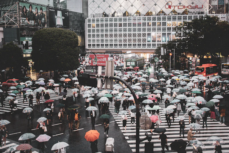 Shibuya Crossing from above